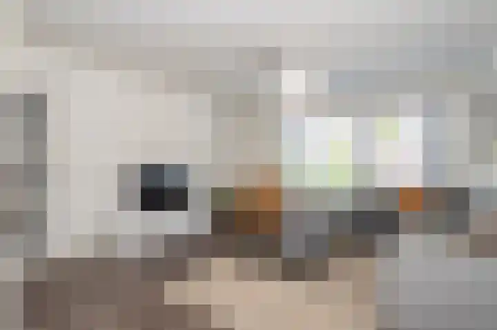 Minerva 21 Born thumbnail 9