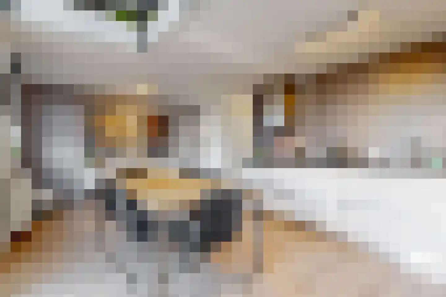 Minerva 47 Born thumbnail 4