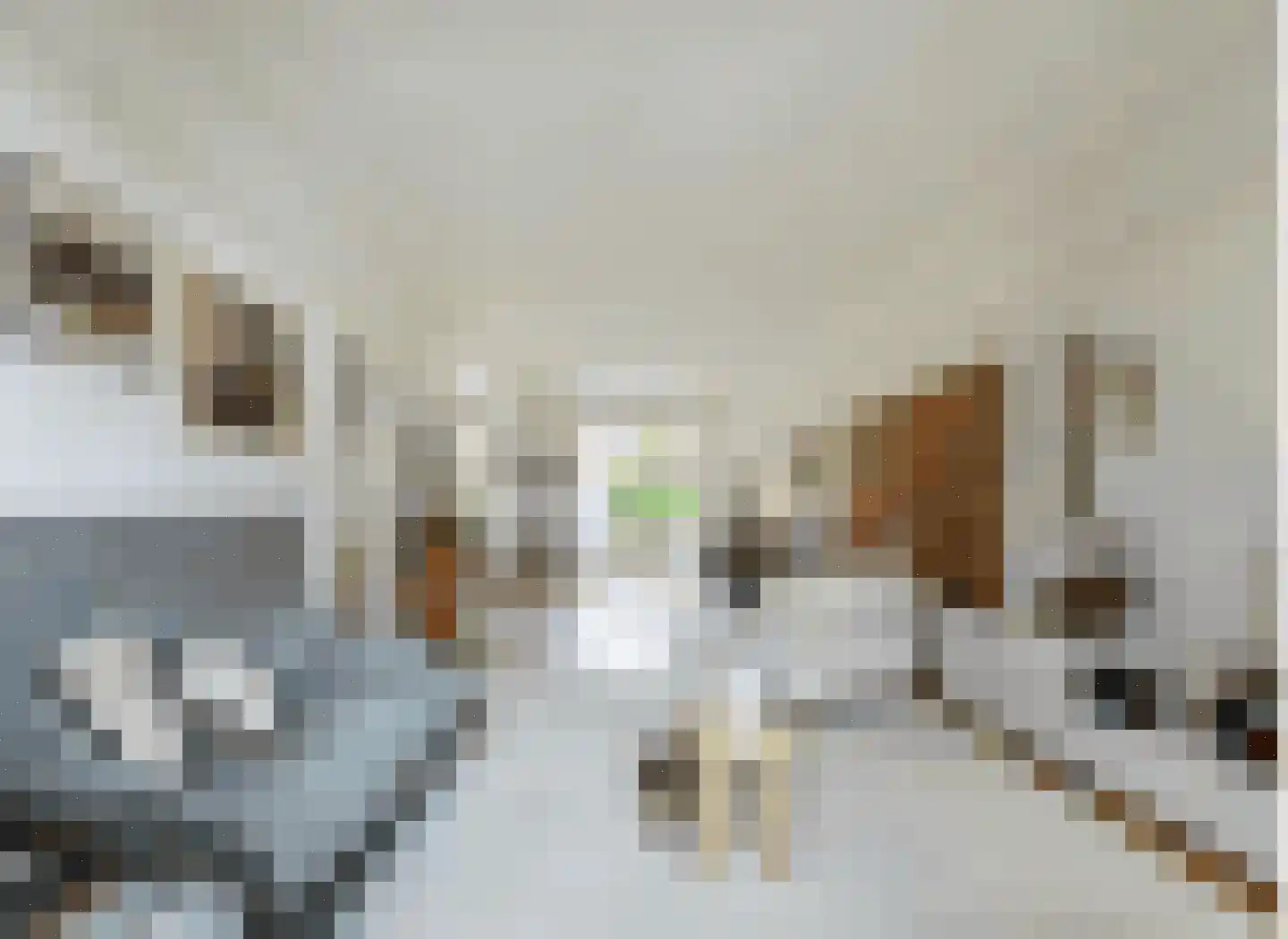 Minervalaan 10 H Amsterdam thumbnail 13