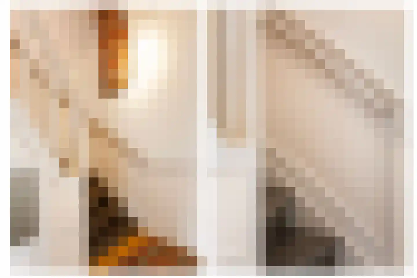 Minervalaan 10 H Amsterdam thumbnail 16