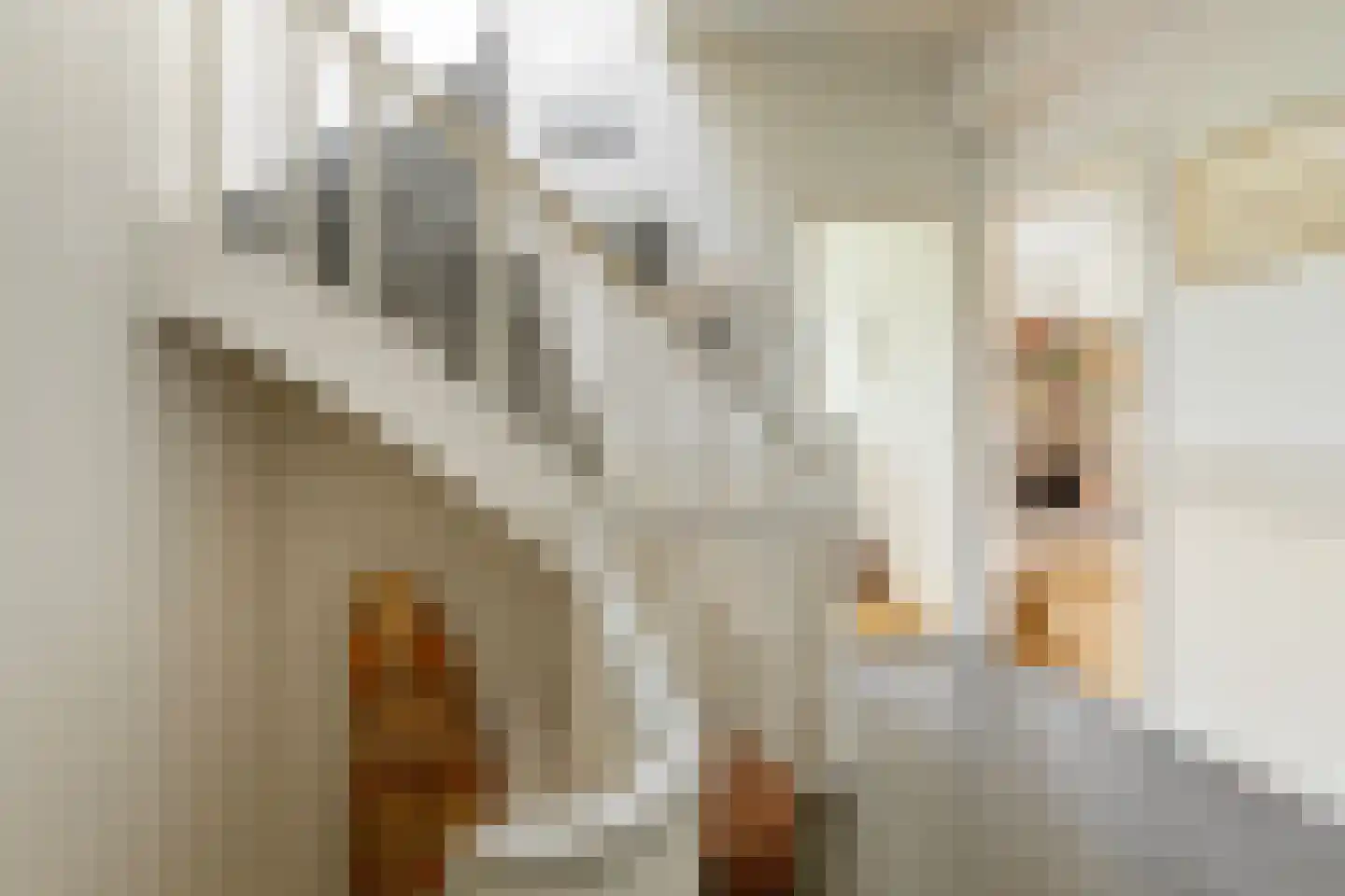 Minervalaan 10 H Amsterdam thumbnail 17