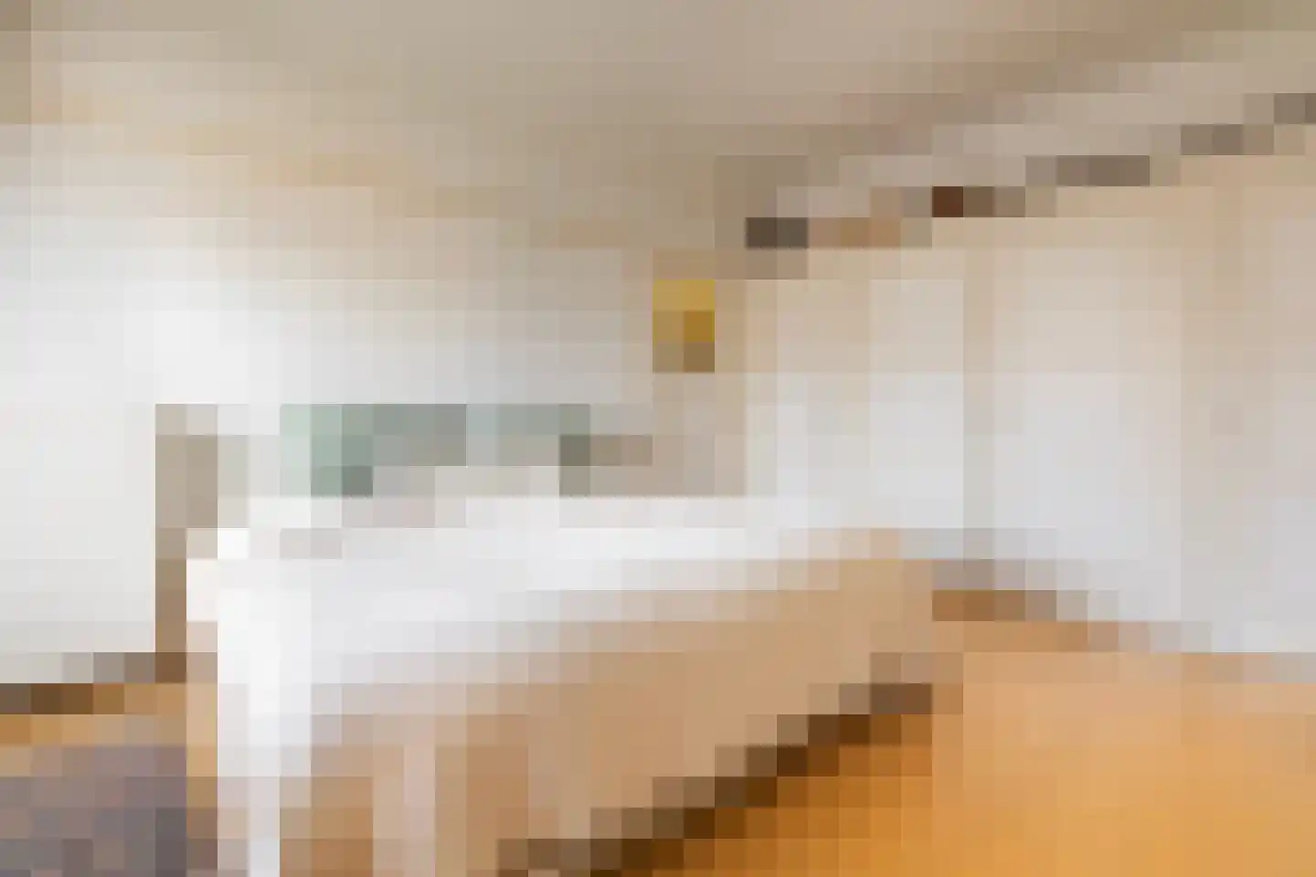 Minervalaan 10 H Amsterdam thumbnail 18