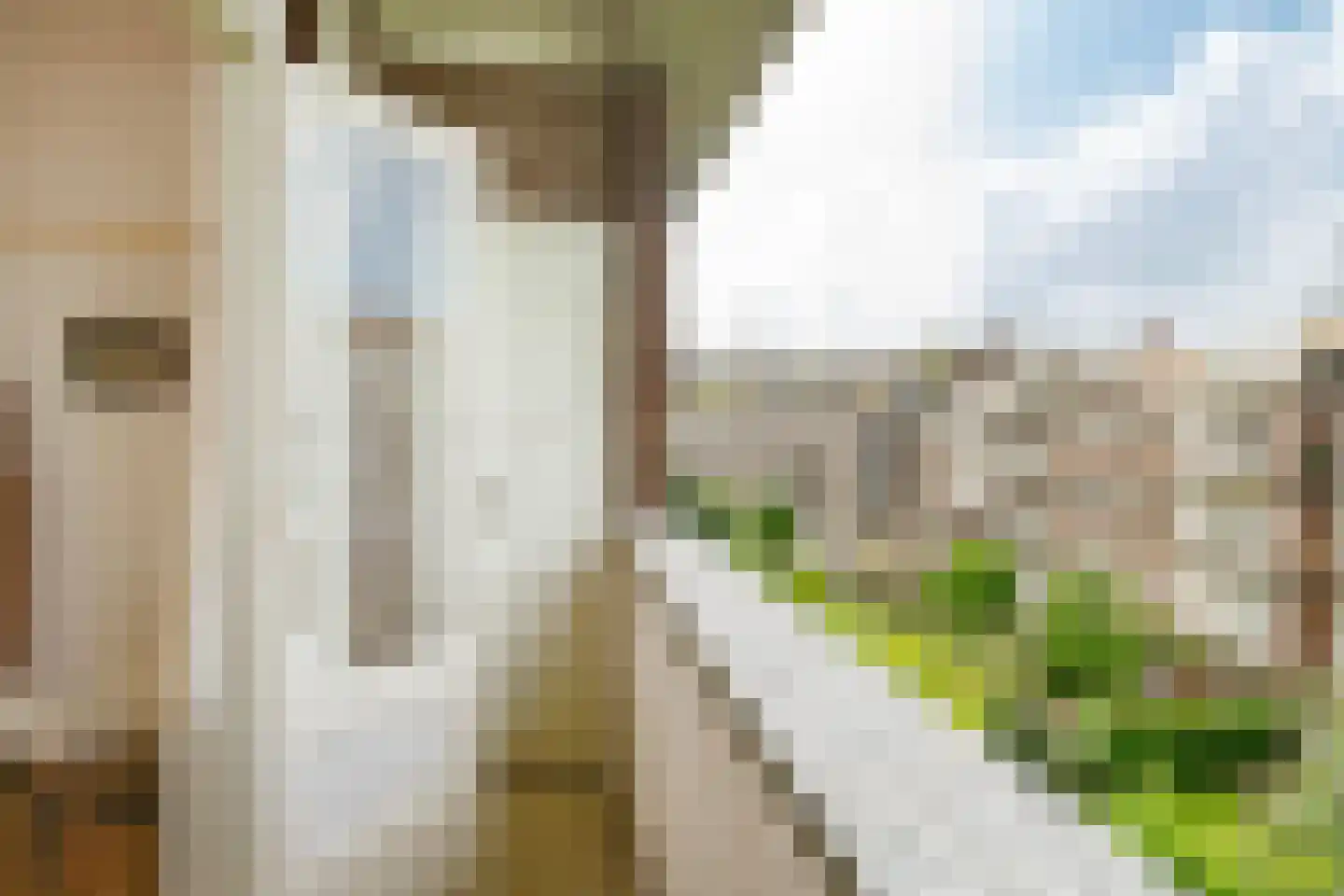 Minervalaan 10 H Amsterdam thumbnail 20