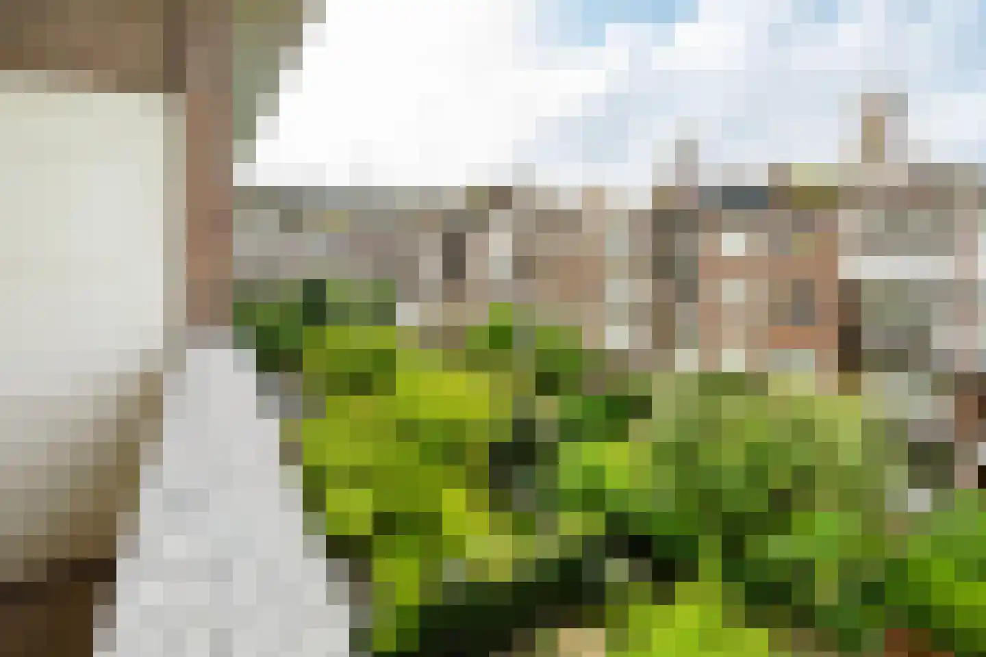 Minervalaan 10 H Amsterdam thumbnail 21
