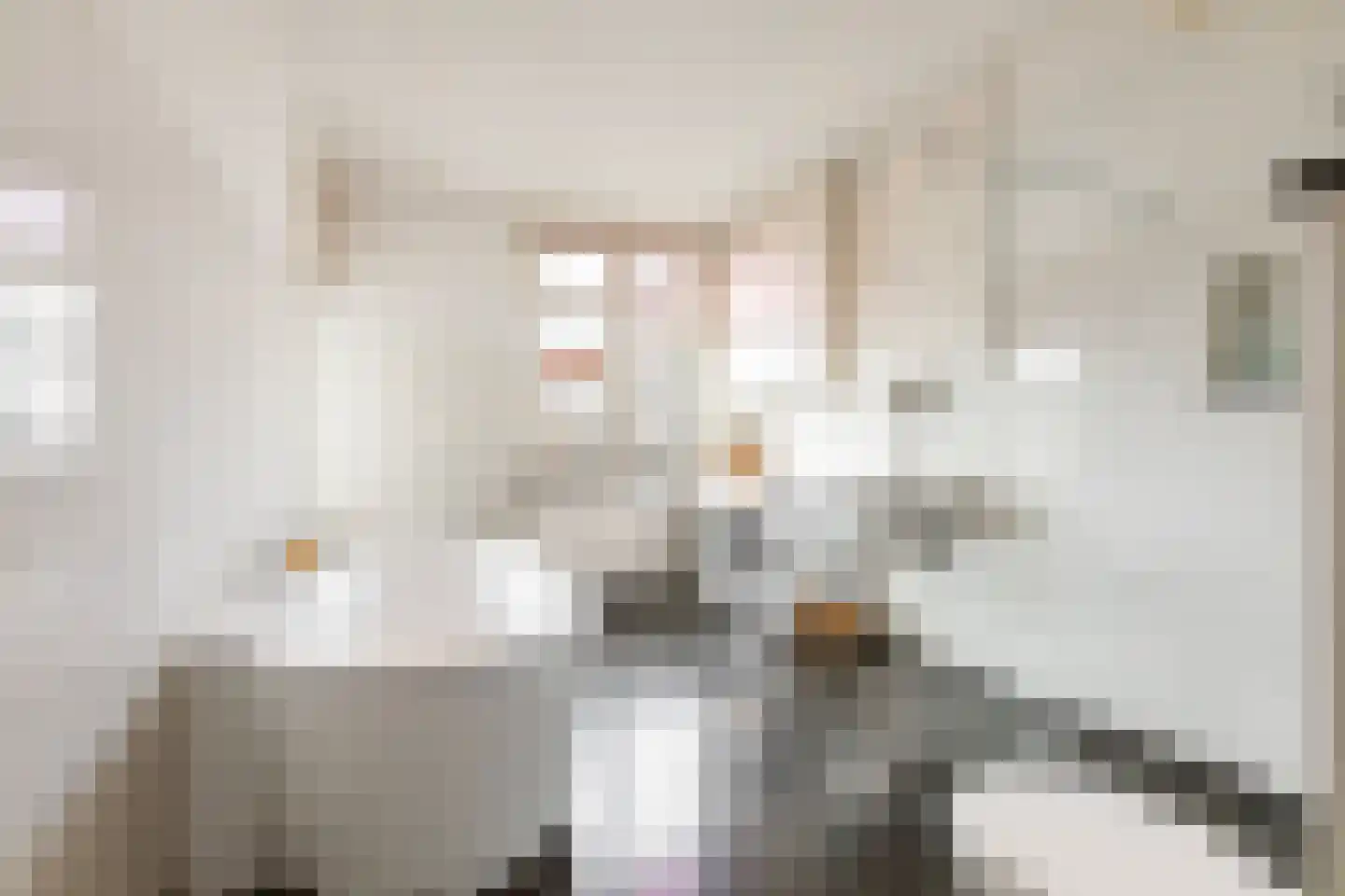 Minervalaan 10 H Amsterdam thumbnail 22