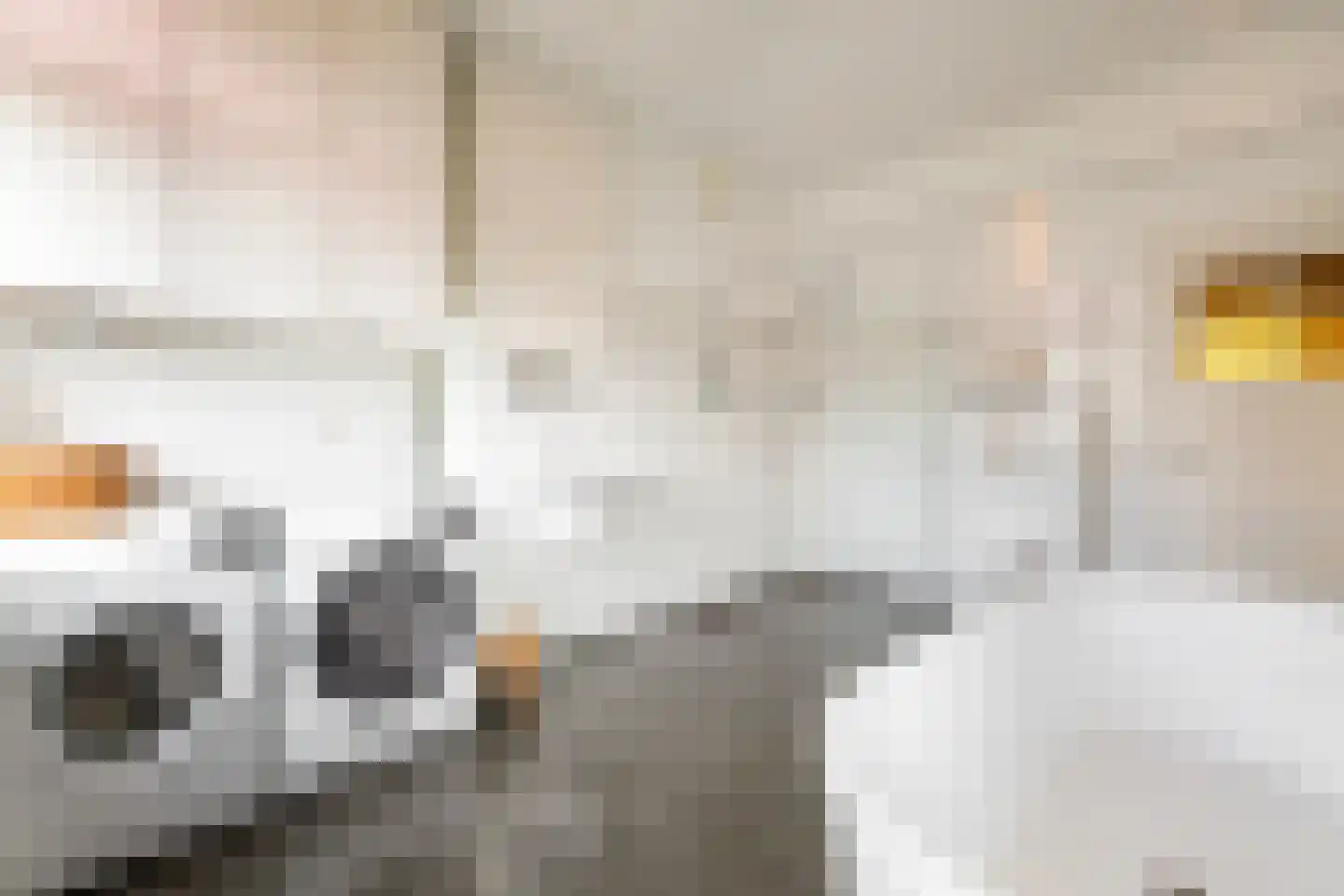 Minervalaan 10 H Amsterdam thumbnail 23