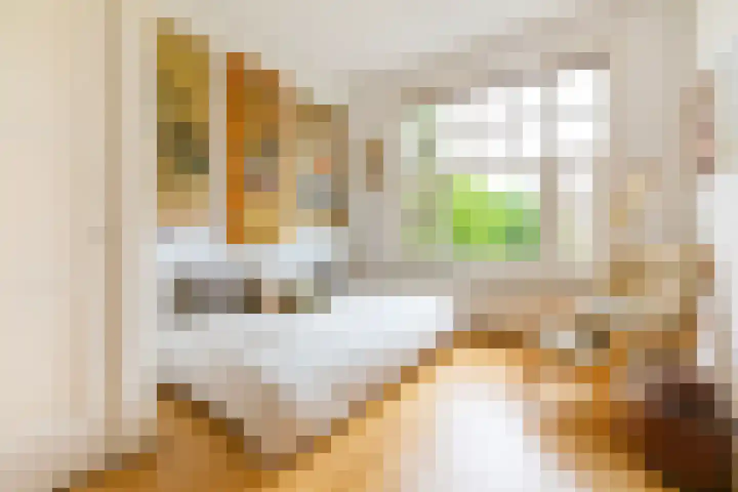 Minervalaan 10 H Amsterdam thumbnail 24