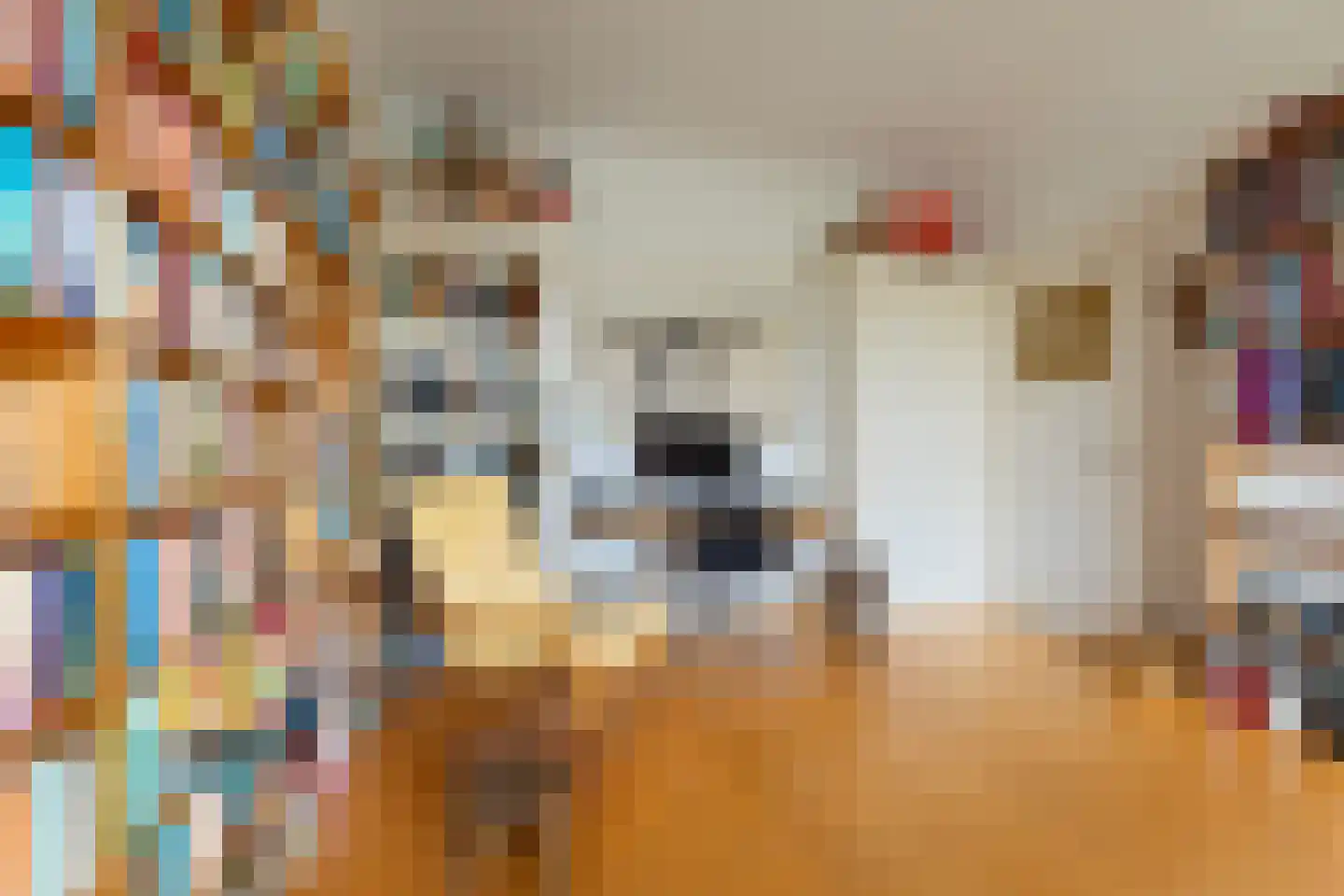 Minervalaan 10 H Amsterdam thumbnail 26
