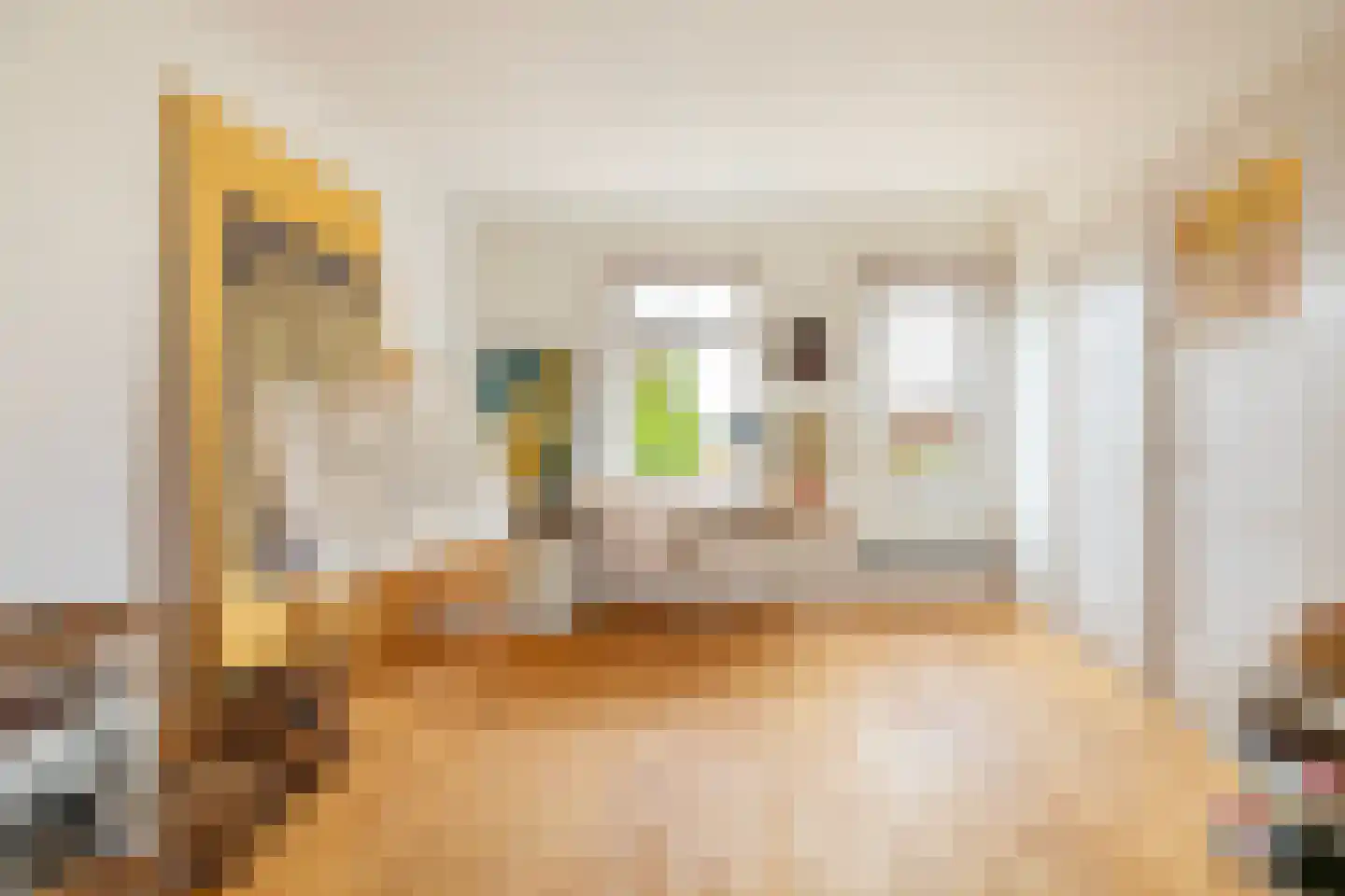 Minervalaan 10 H Amsterdam thumbnail 29