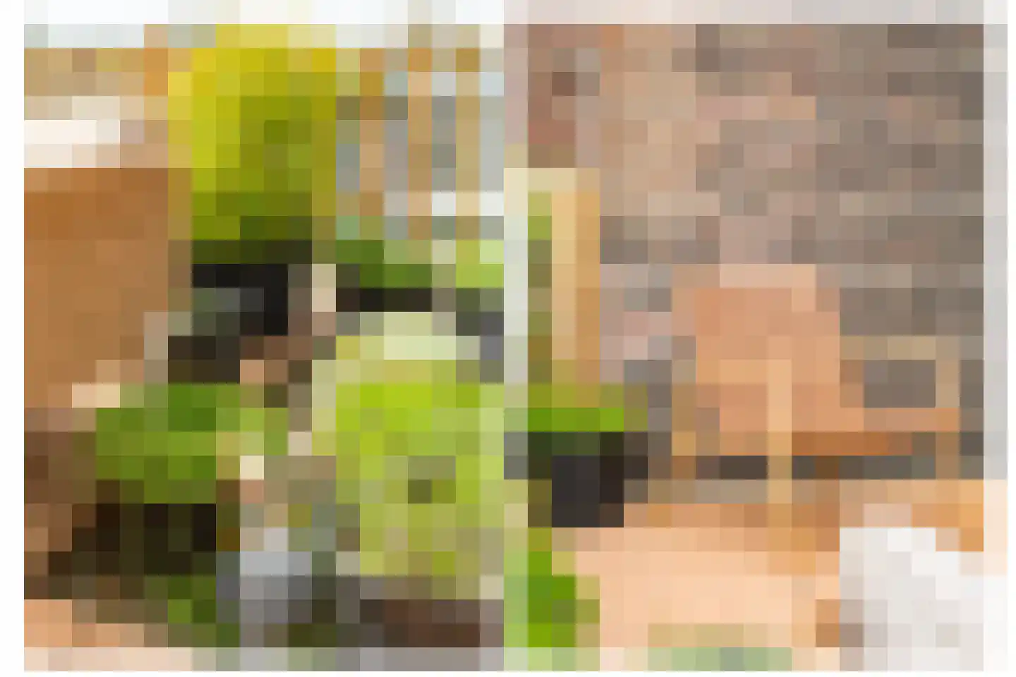 Minervalaan 10 H Amsterdam thumbnail 33