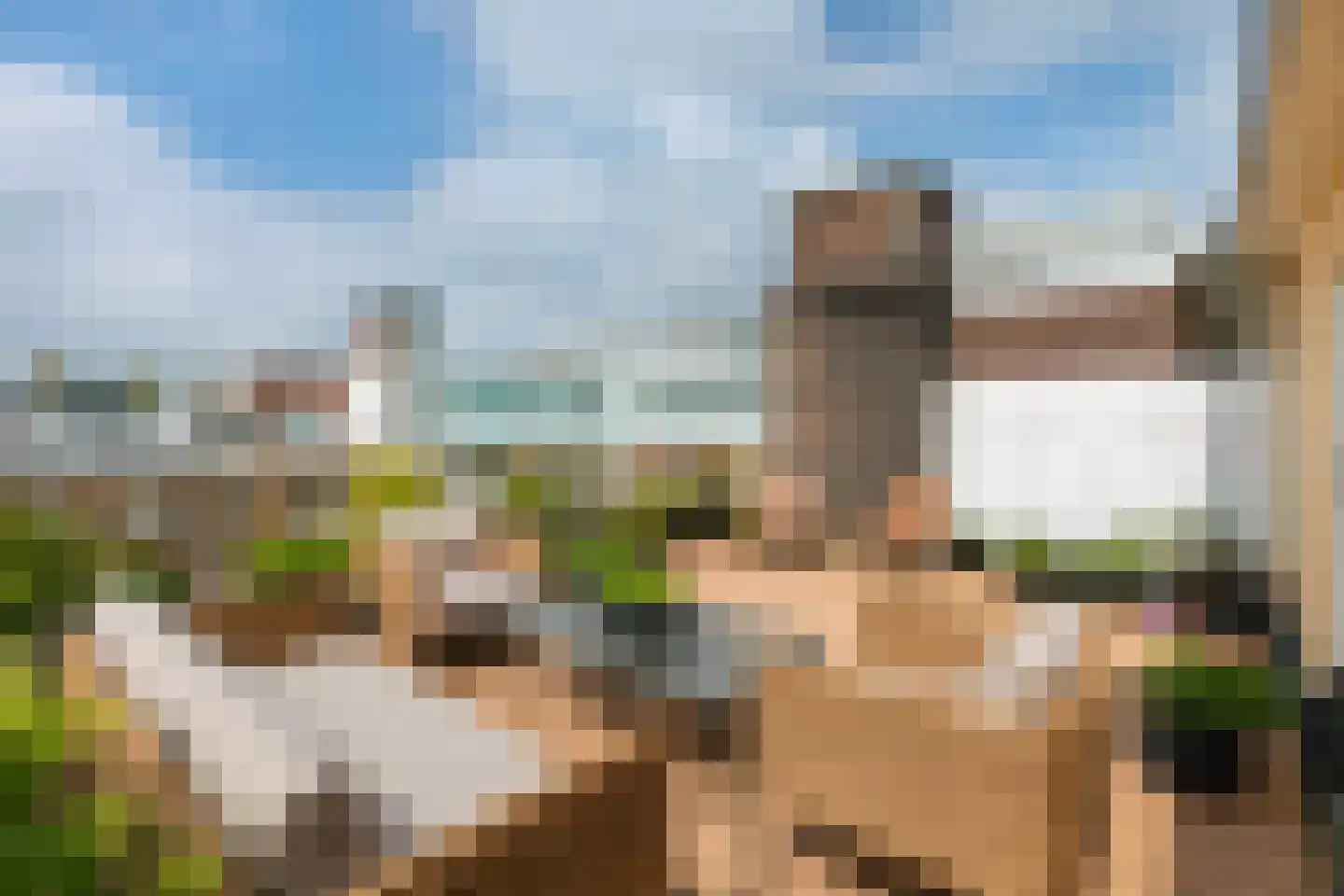 Minervalaan 10 H Amsterdam thumbnail 35