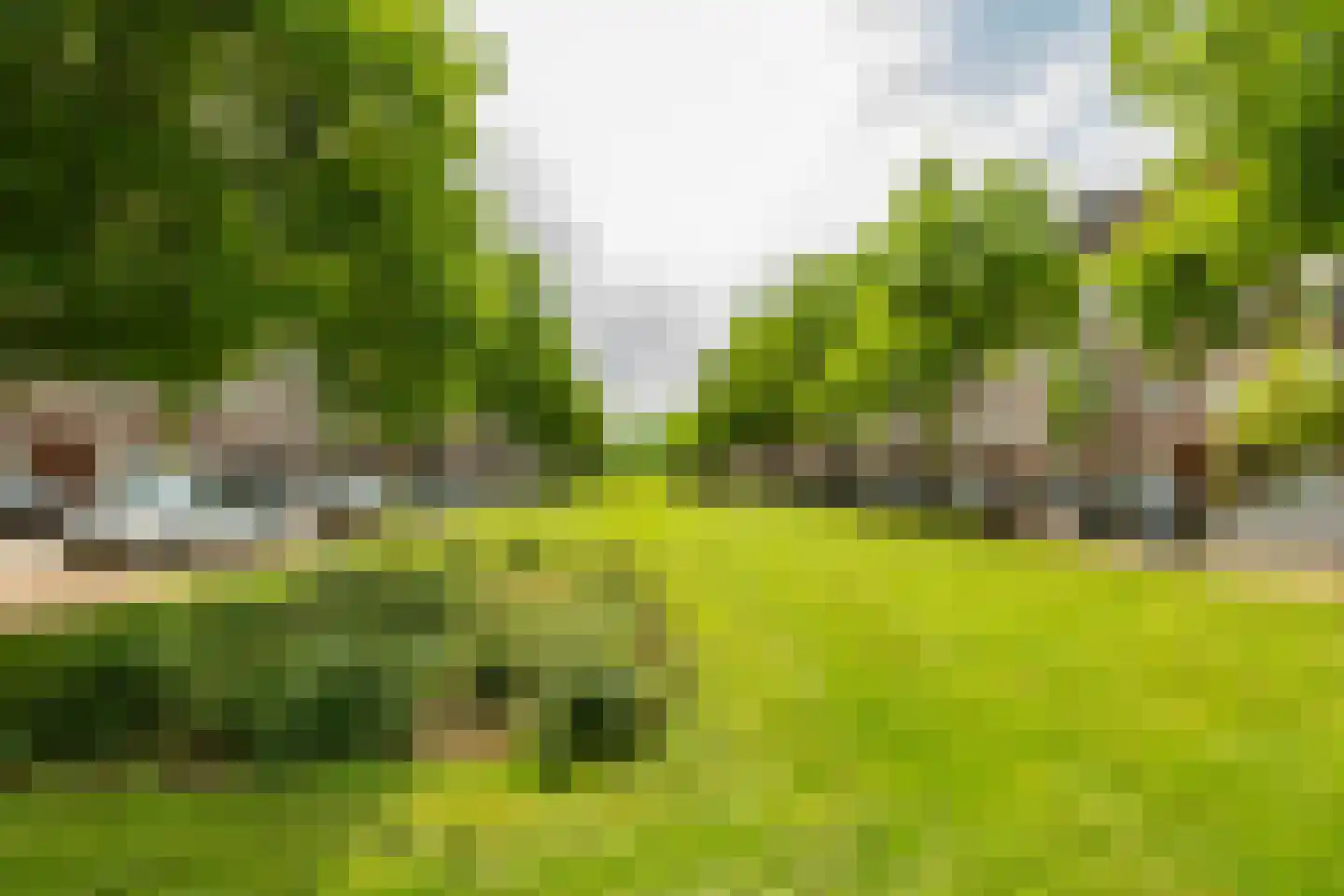Minervalaan 10 H Amsterdam thumbnail 38