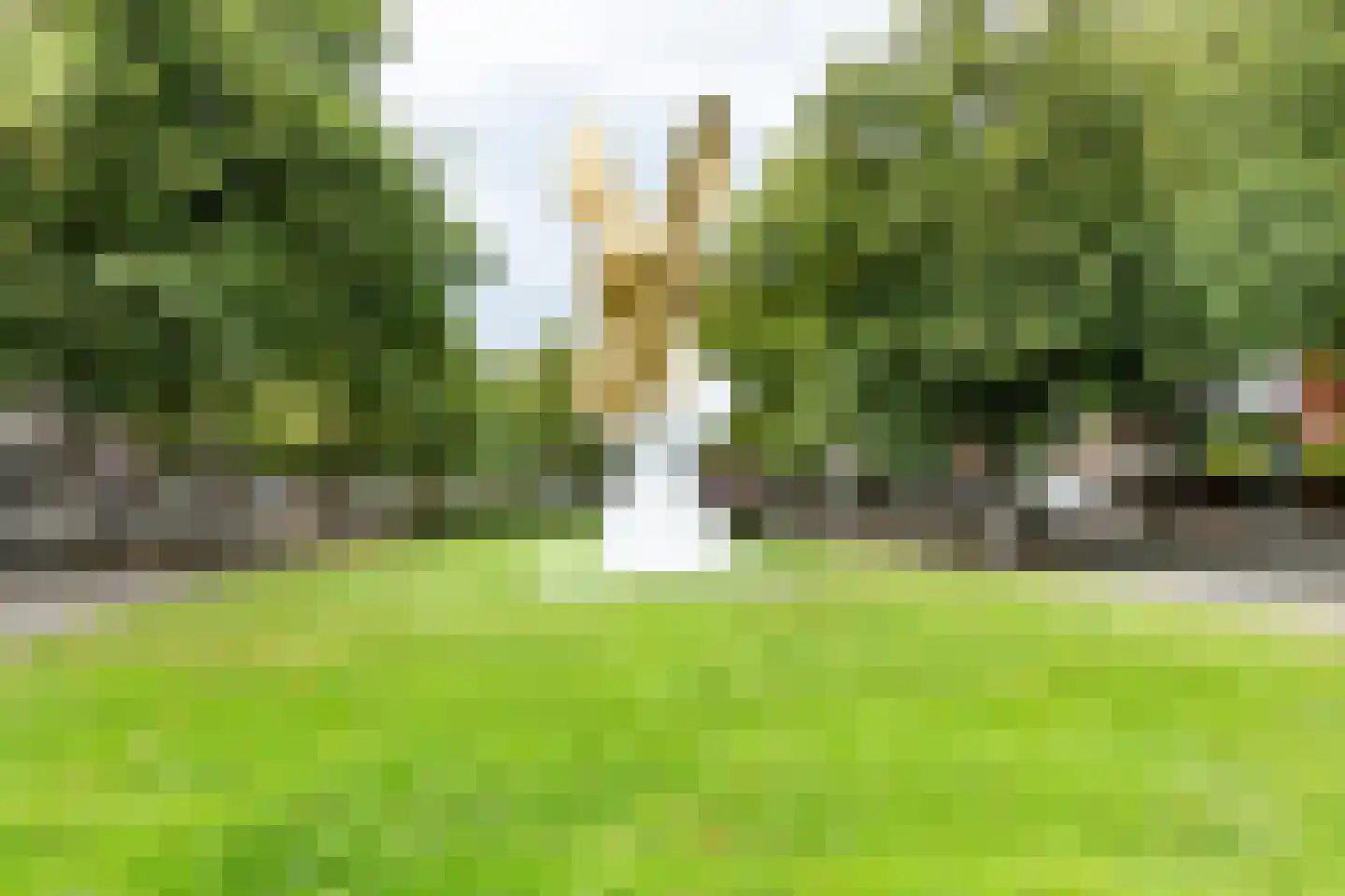 Minervalaan 10 H Amsterdam thumbnail 40