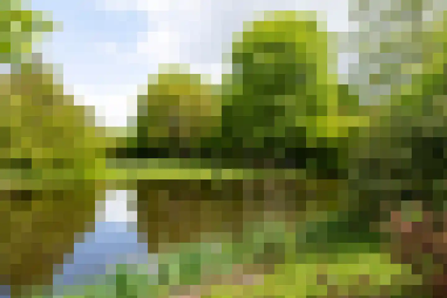 Minervalaan 10 H Amsterdam thumbnail 41