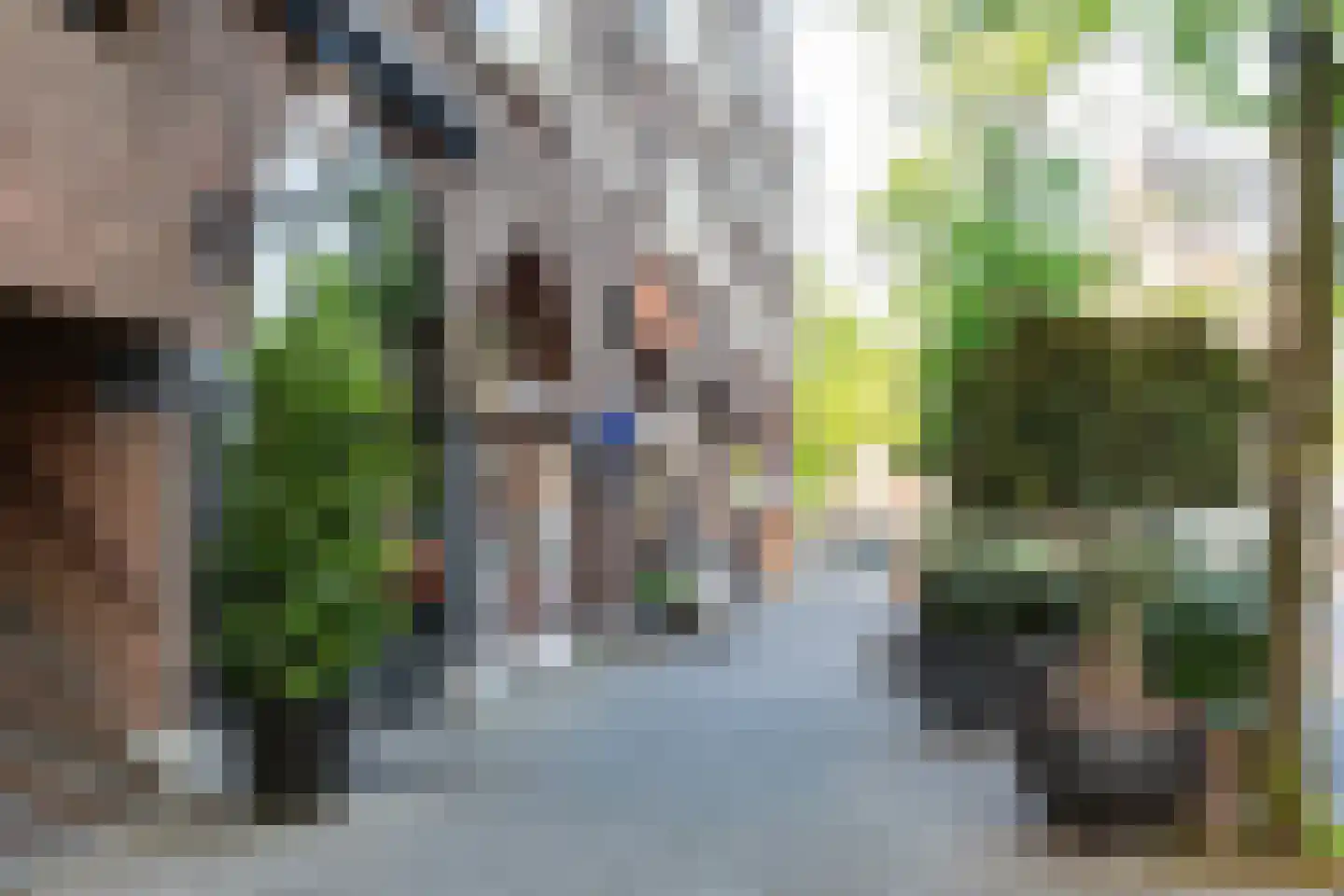 Minervalaan 10 H Amsterdam thumbnail 43