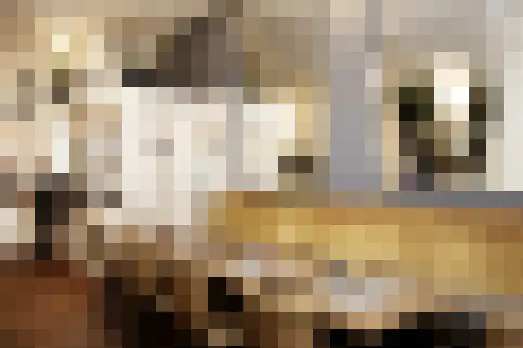 Minervalaan 10 H Amsterdam thumbnail 50