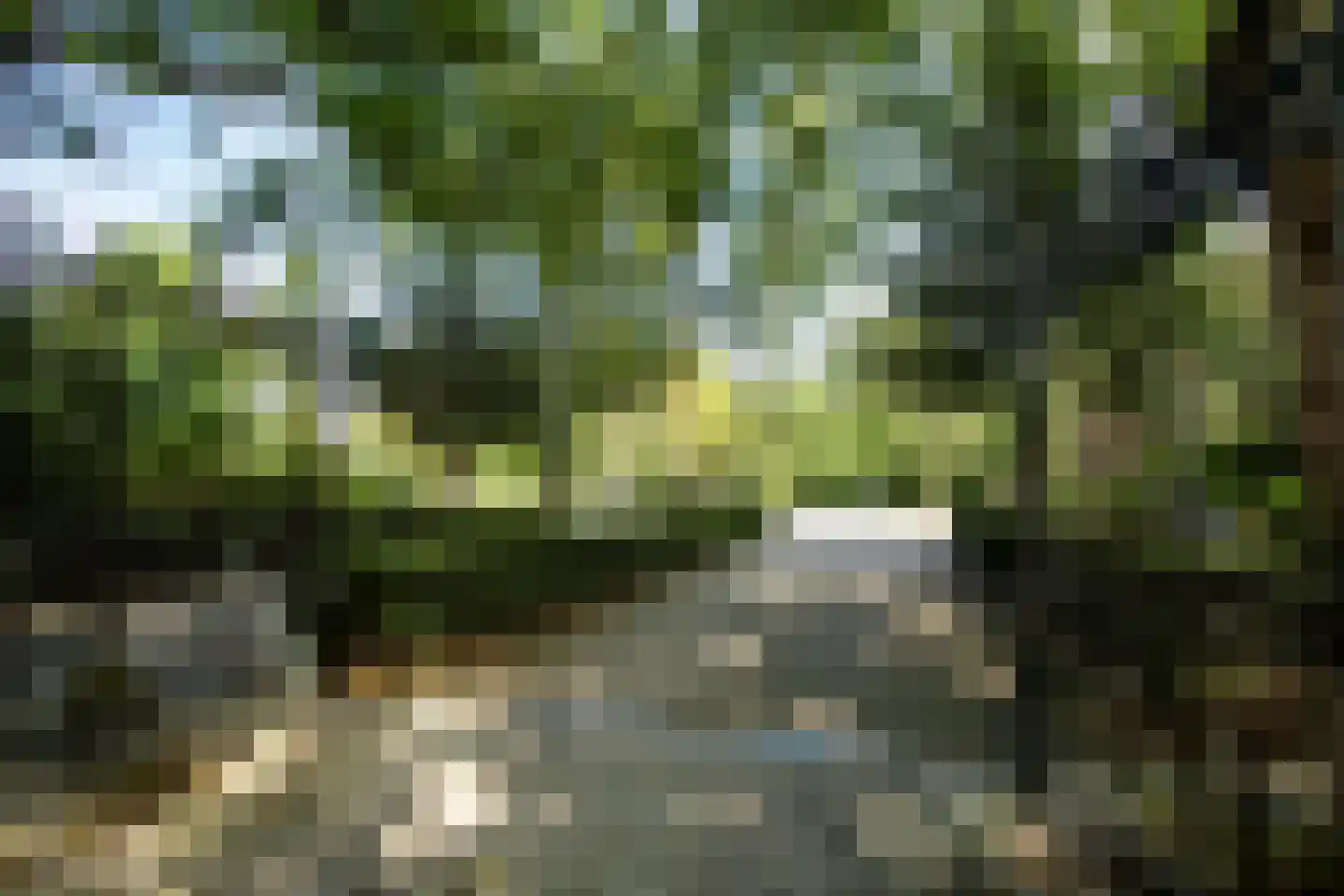 Minervalaan 10 H Amsterdam thumbnail 61