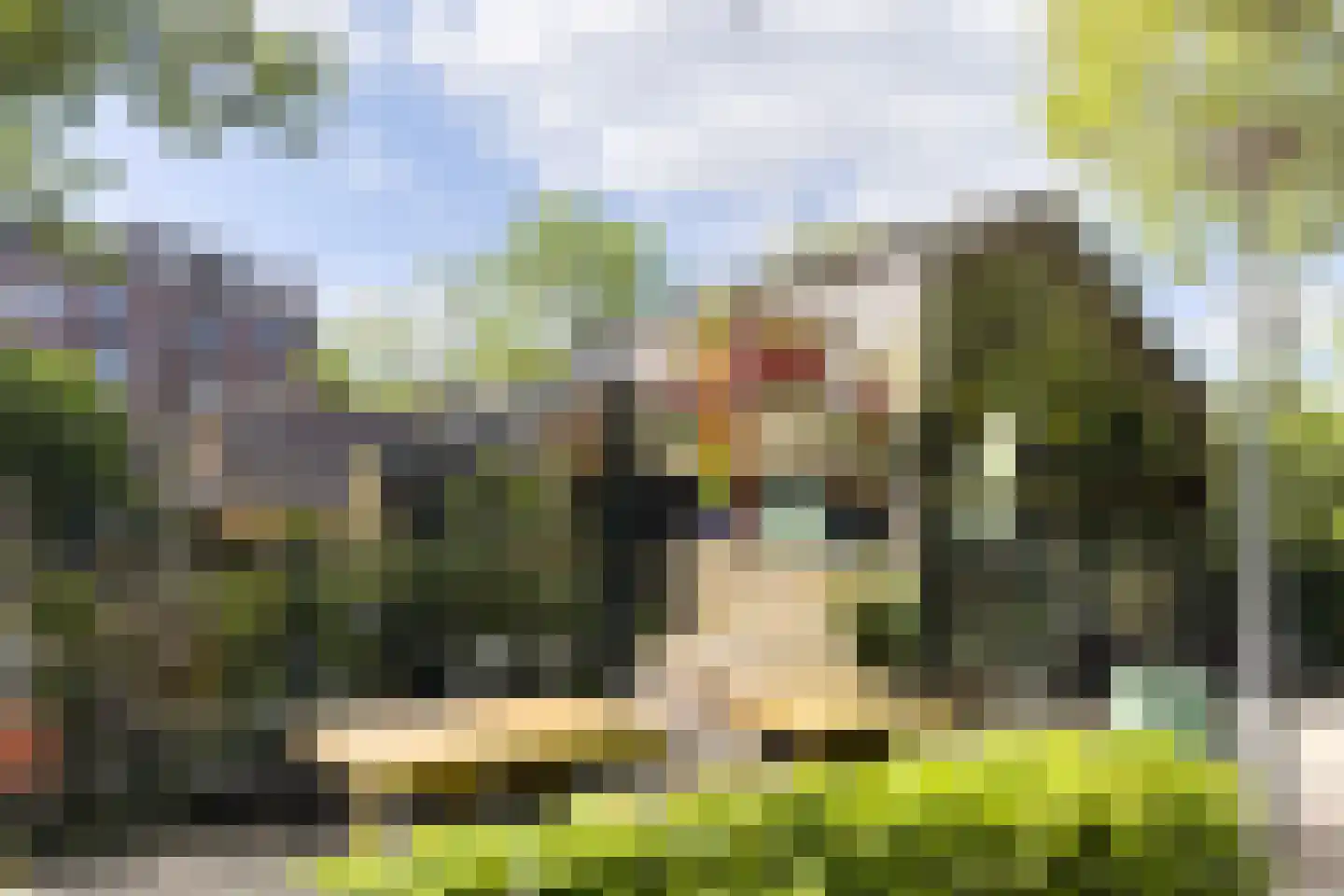 Minervalaan 10 H Amsterdam thumbnail 62