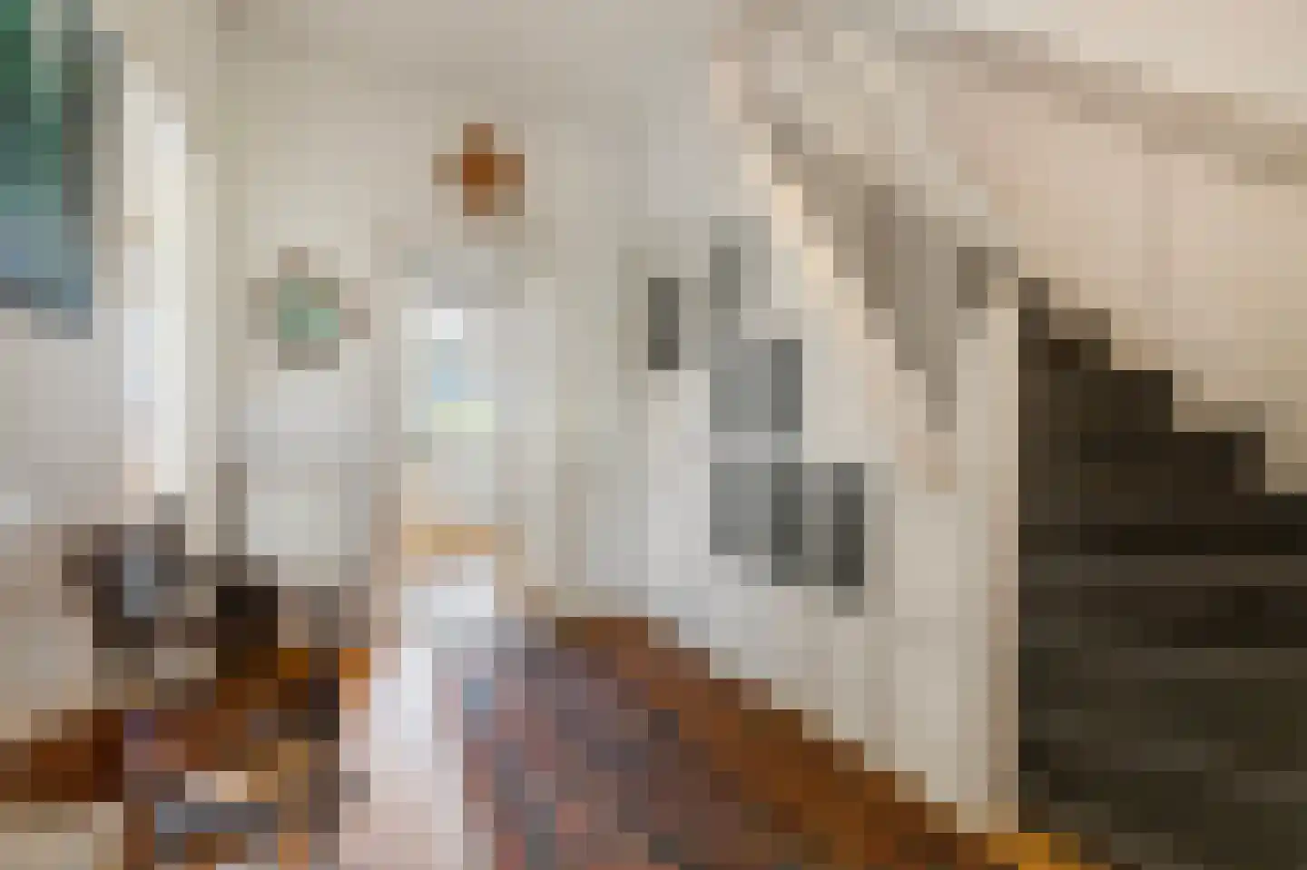 Minervalaan 10 H Amsterdam thumbnail 7