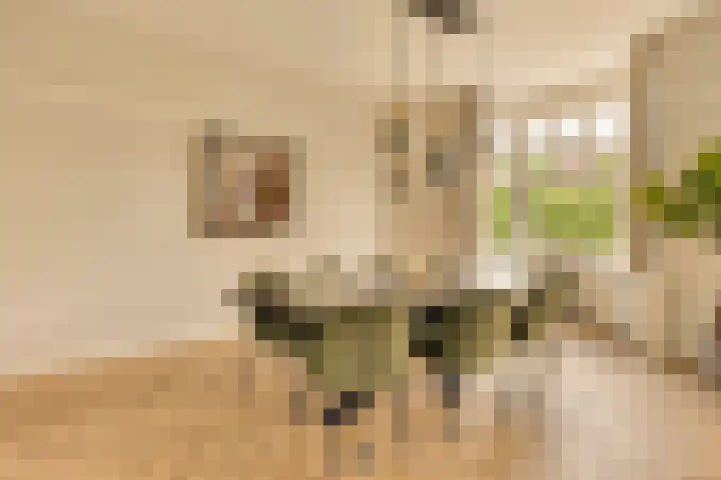 Minervalaan 12 2 Amsterdam thumbnail 10