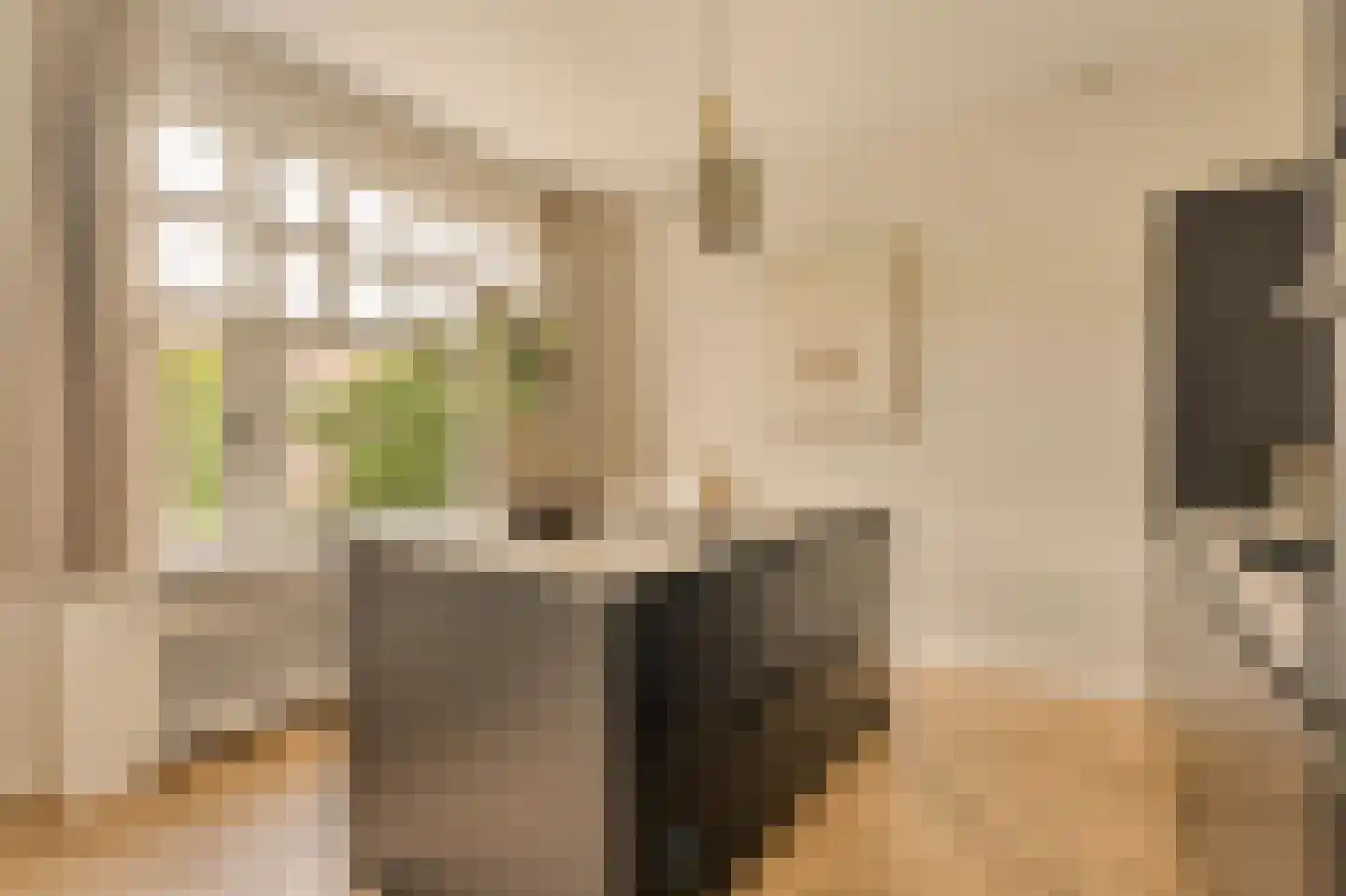 Minervalaan 12 2 Amsterdam thumbnail 15