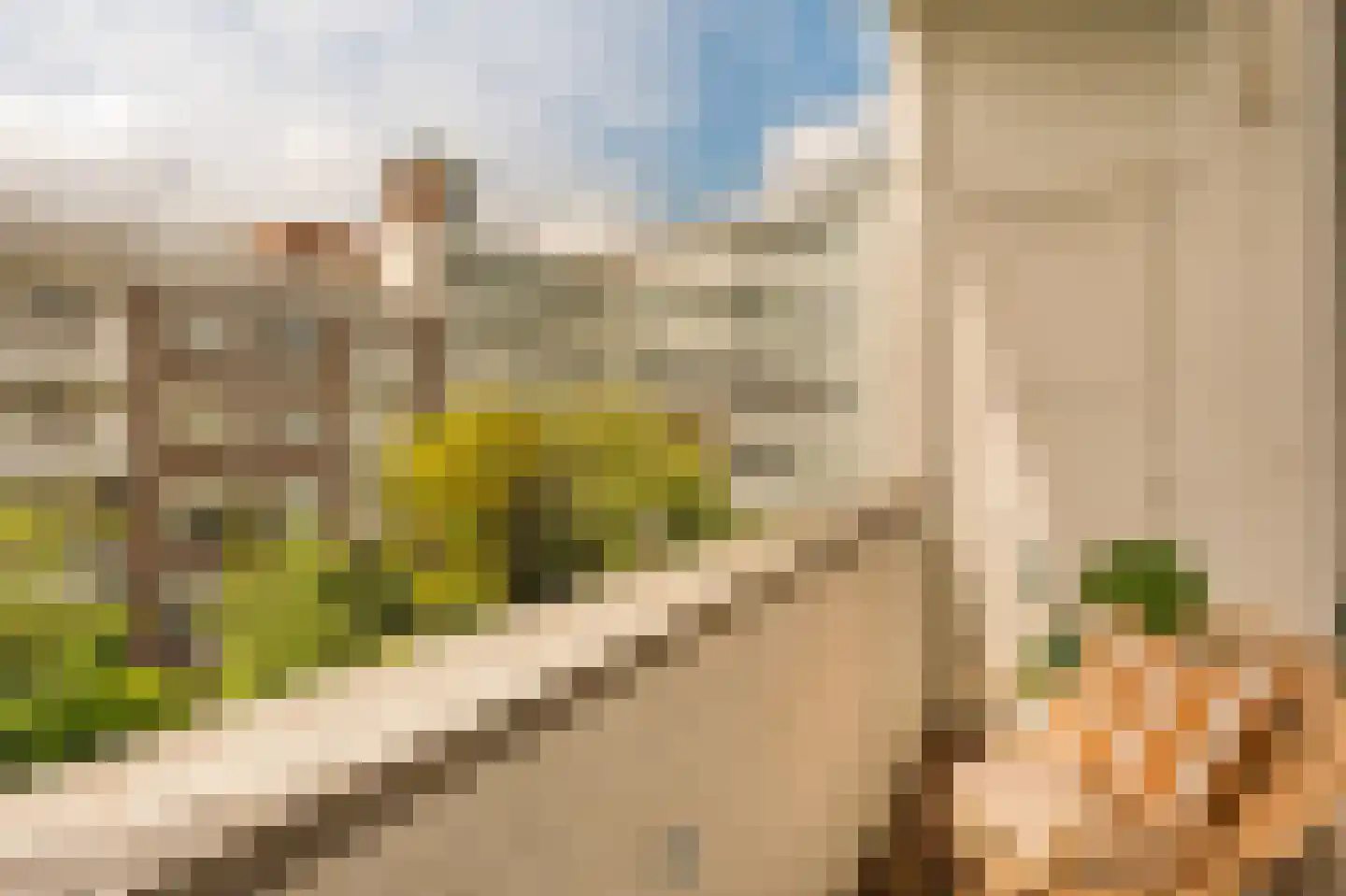 Minervalaan 12 2 Amsterdam thumbnail 19