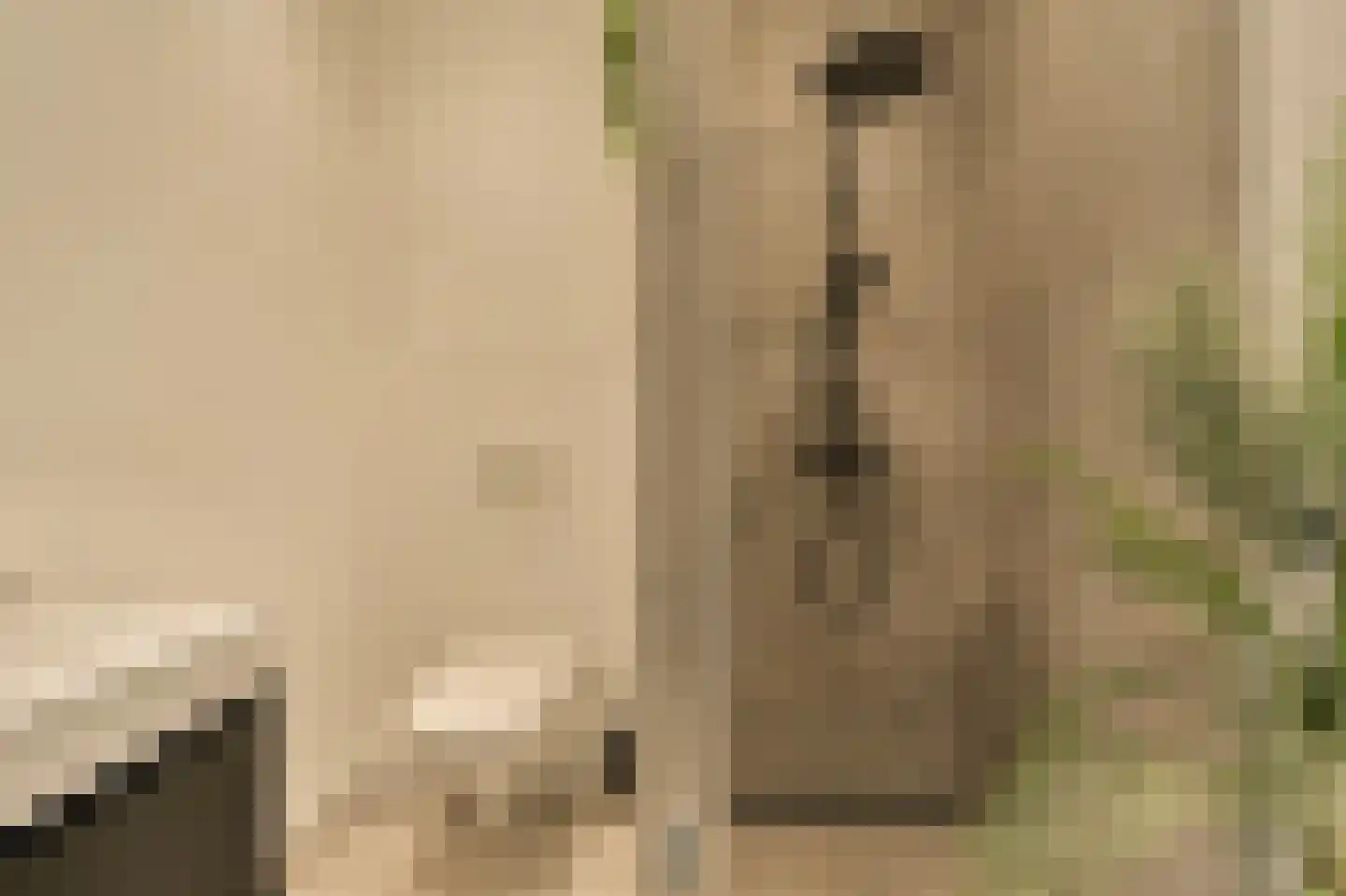 Minervalaan 12 2 Amsterdam thumbnail 21