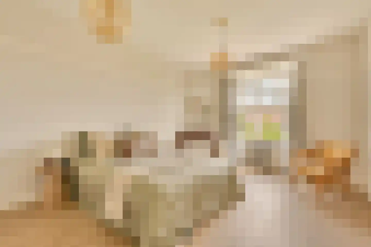 Minervalaan 12 2 Amsterdam thumbnail 26