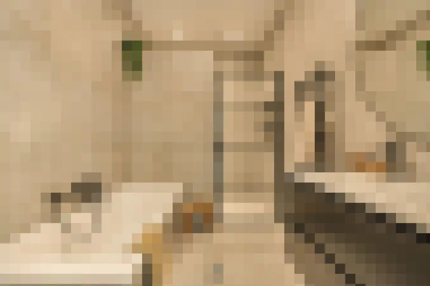 Minervalaan 12 2 Amsterdam thumbnail 30