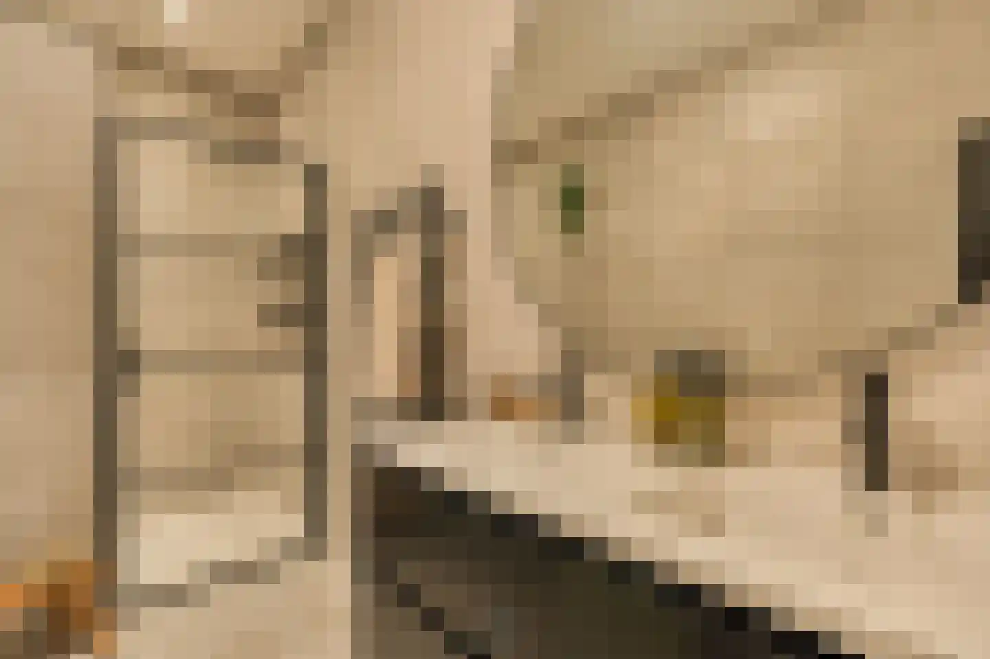 Minervalaan 12 2 Amsterdam thumbnail 31