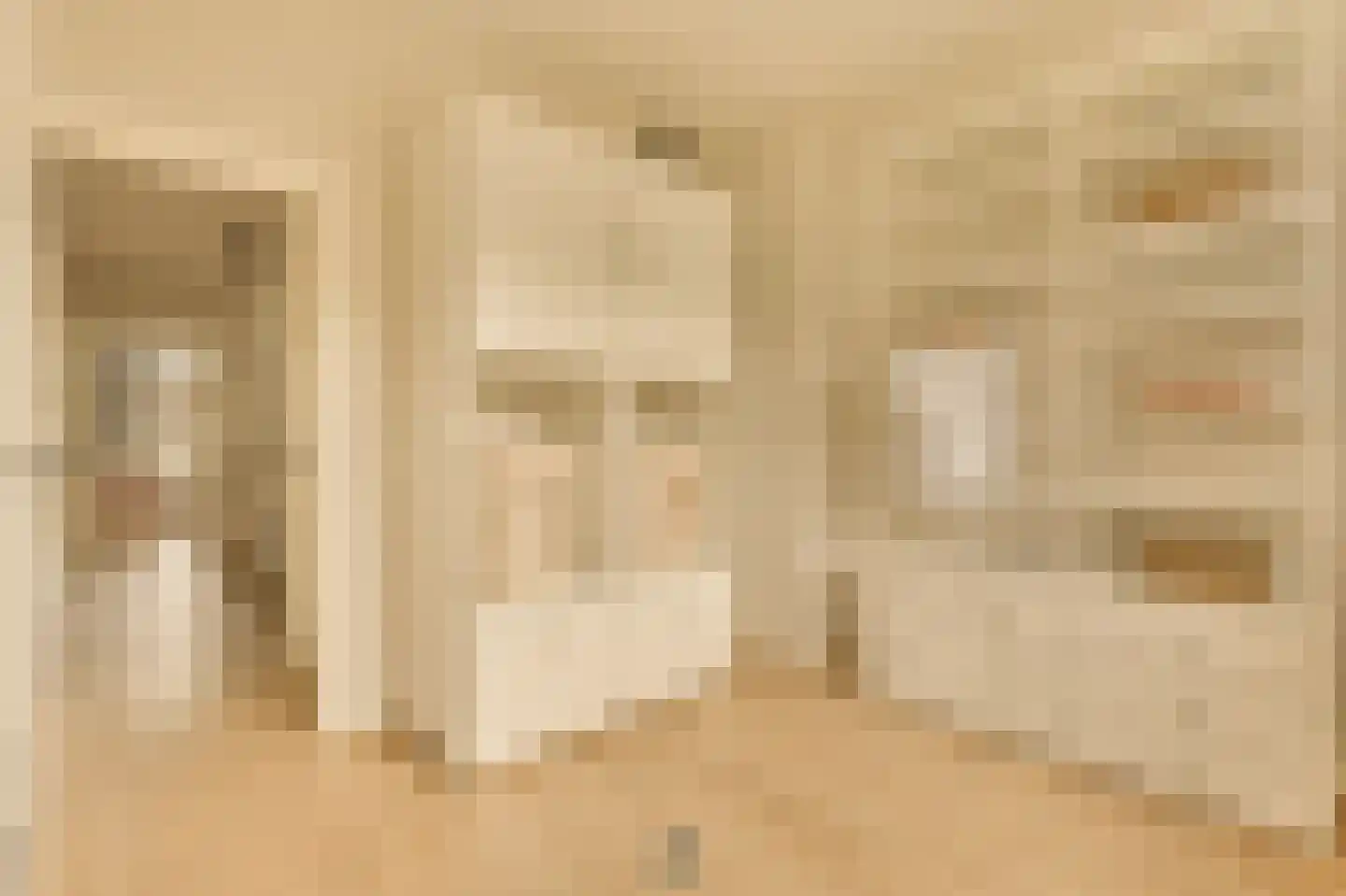 Minervalaan 12 2 Amsterdam thumbnail 39