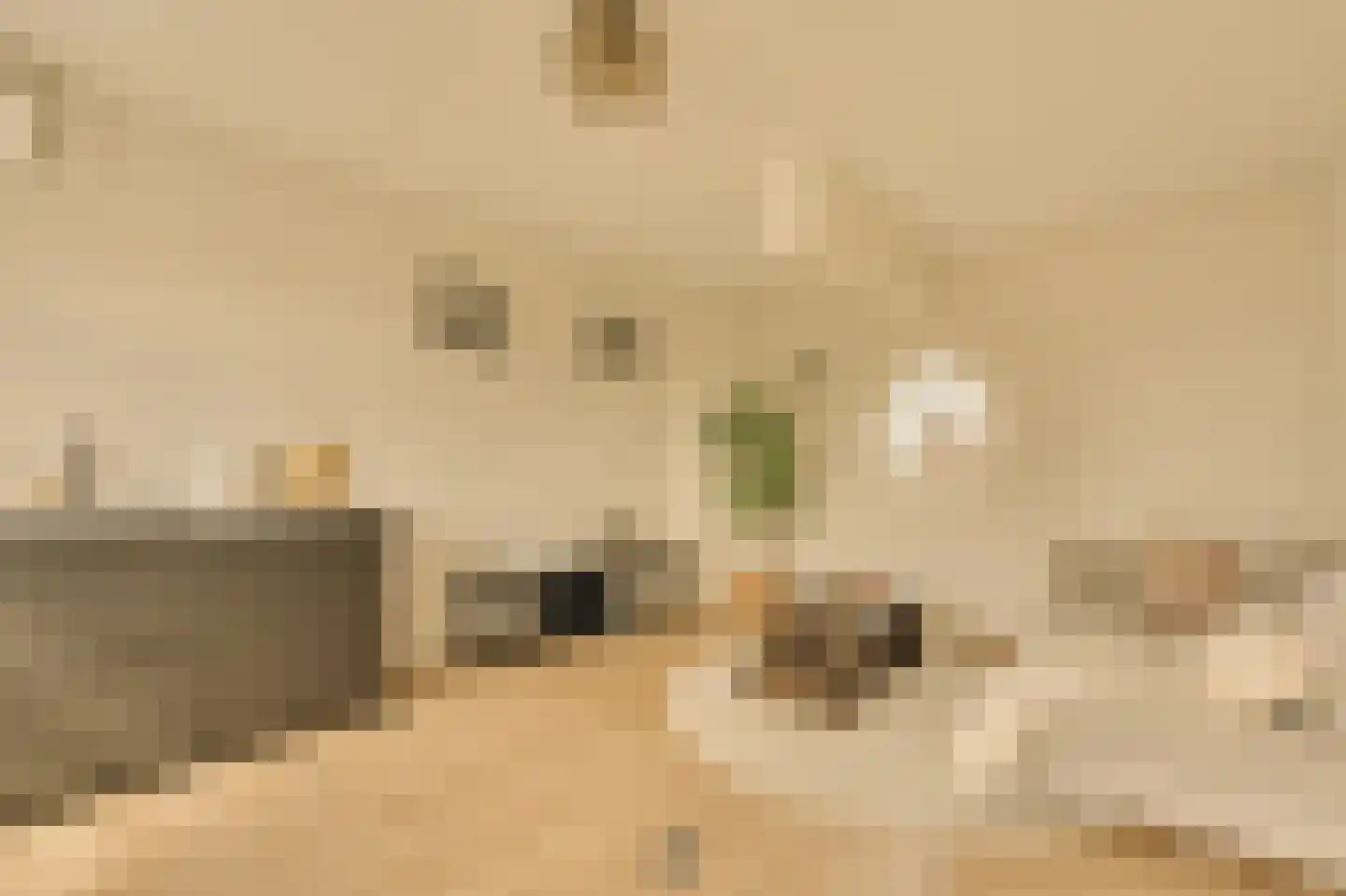 Minervalaan 12 2 Amsterdam thumbnail 41