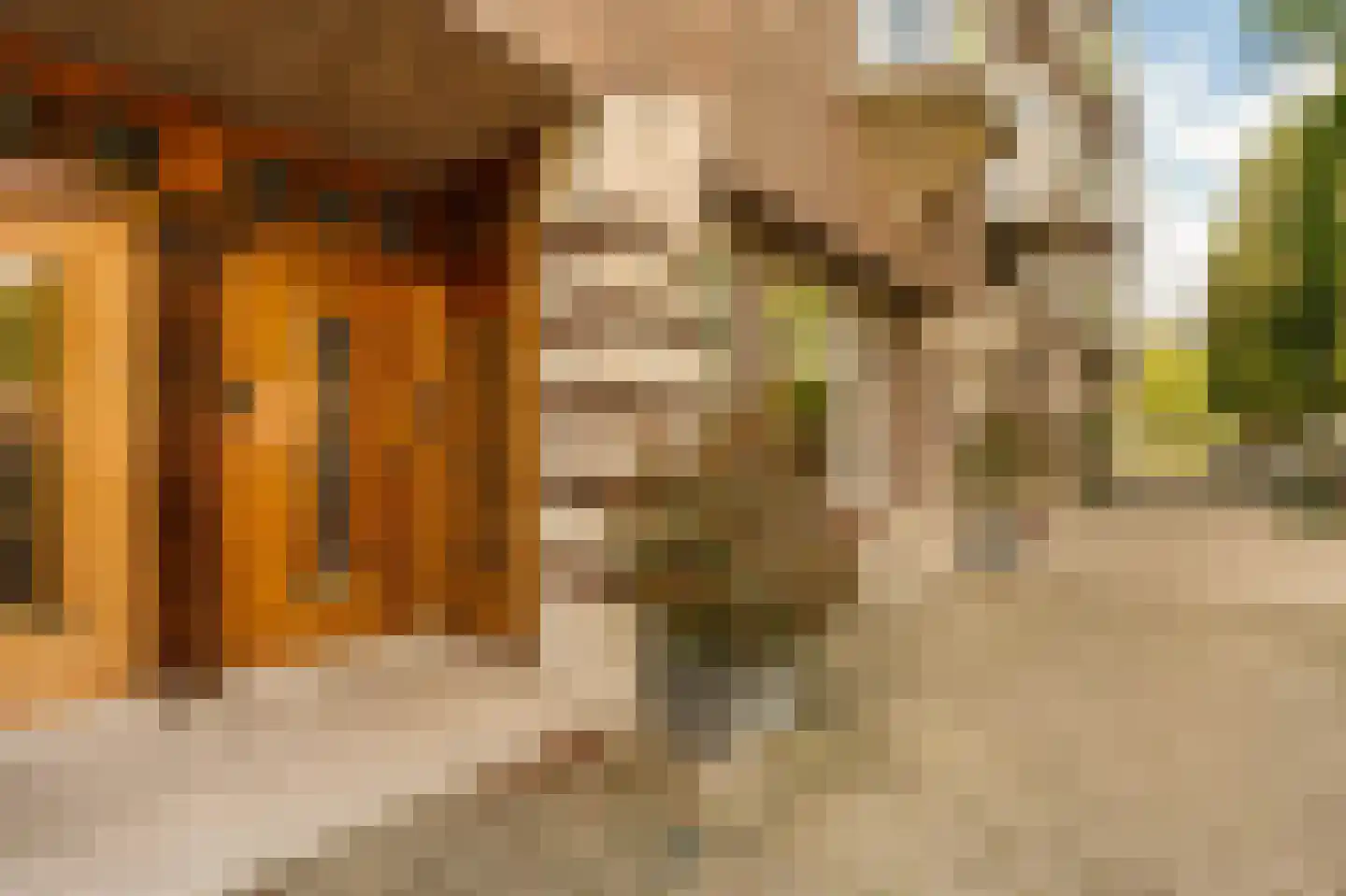 Minervalaan 12 2 Amsterdam thumbnail 53