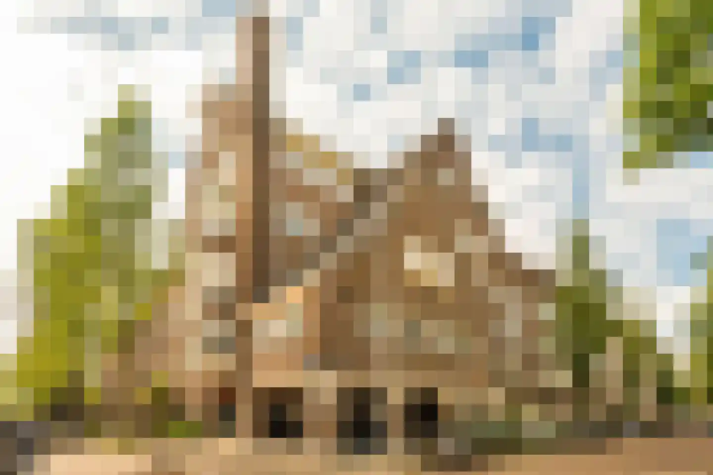 Minervalaan 12 2 Amsterdam thumbnail 54