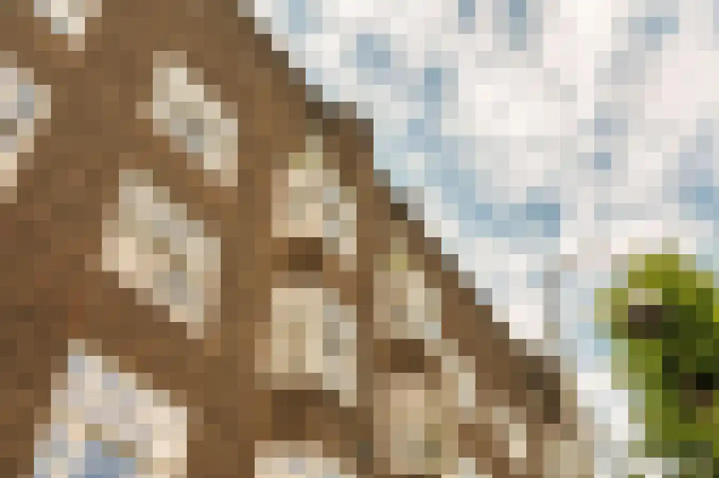 Minervalaan 12 2 Amsterdam thumbnail 57
