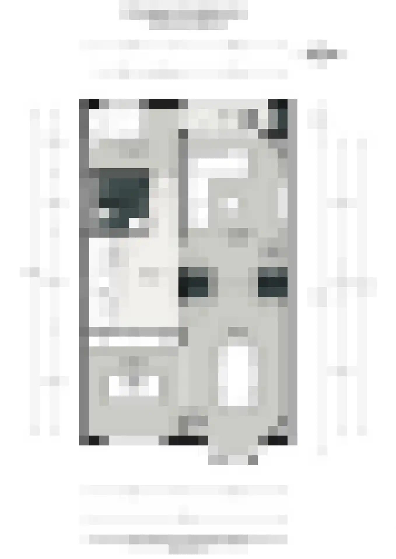 Minervalaan 12 2 Amsterdam thumbnail 60