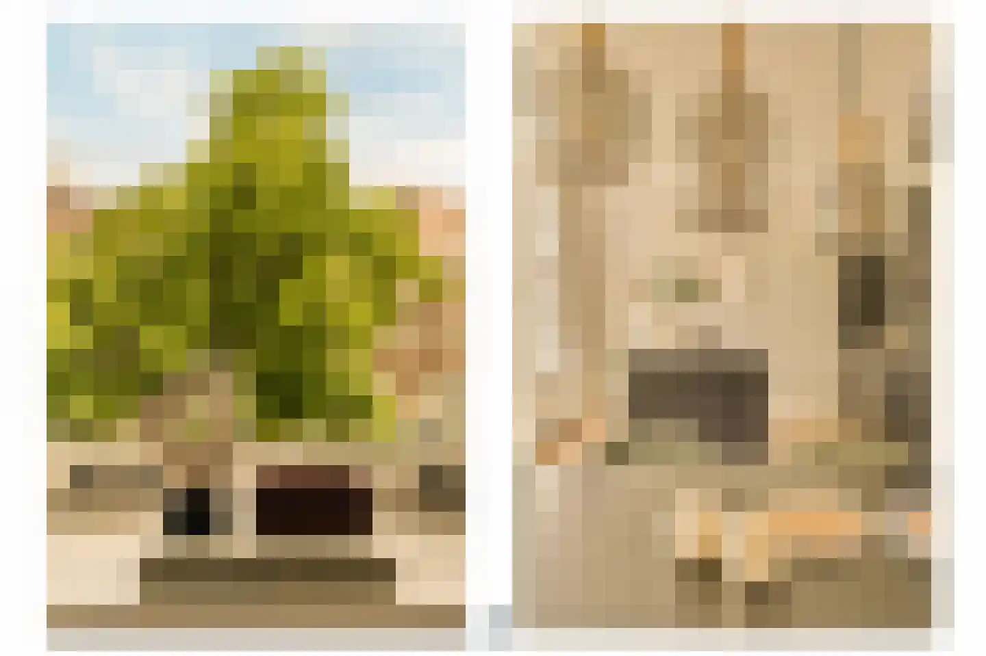 Minervalaan 12 2 Amsterdam thumbnail 8