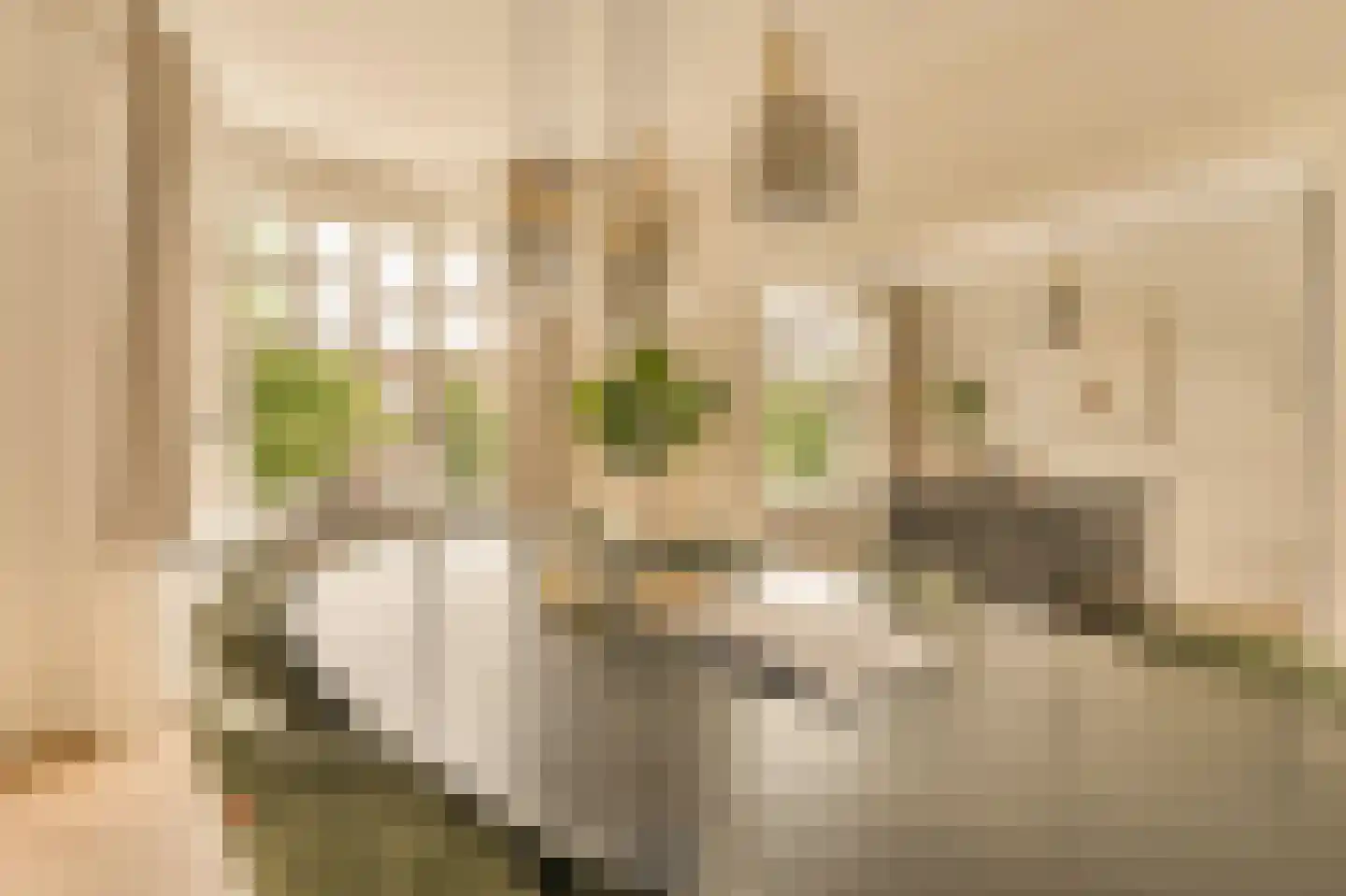 Minervalaan 12 2 Amsterdam thumbnail 9