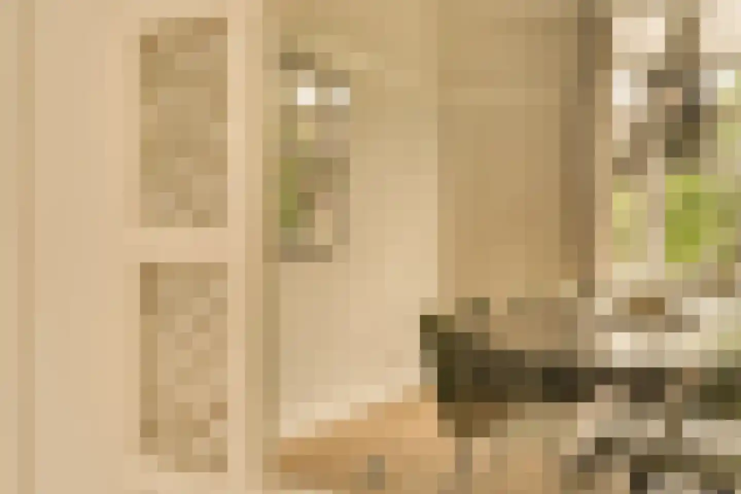 Minervalaan 12 H Amsterdam thumbnail 11
