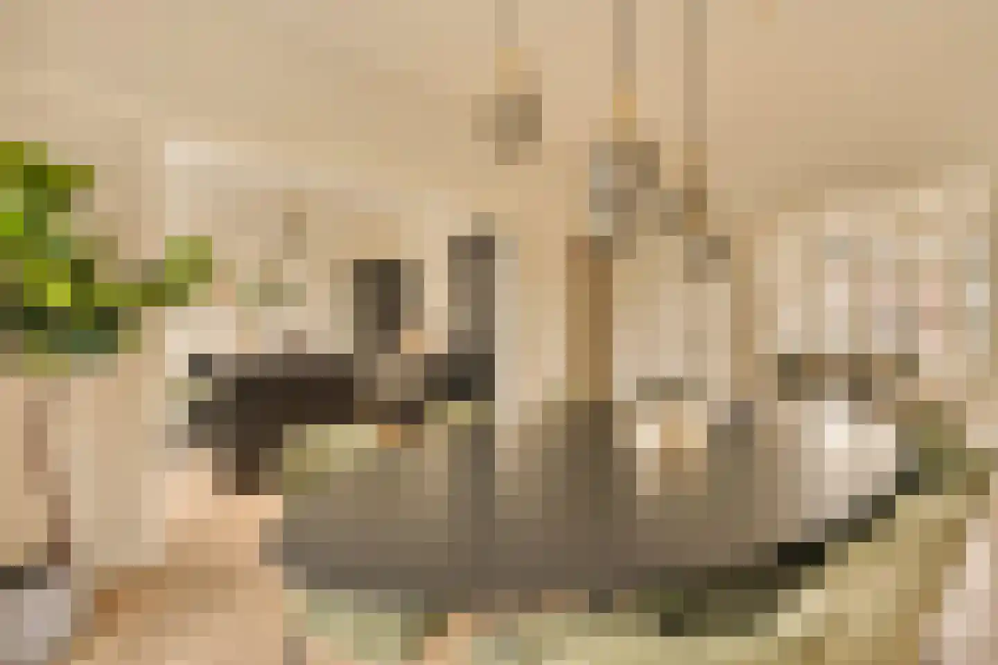 Minervalaan 12 H Amsterdam thumbnail 14