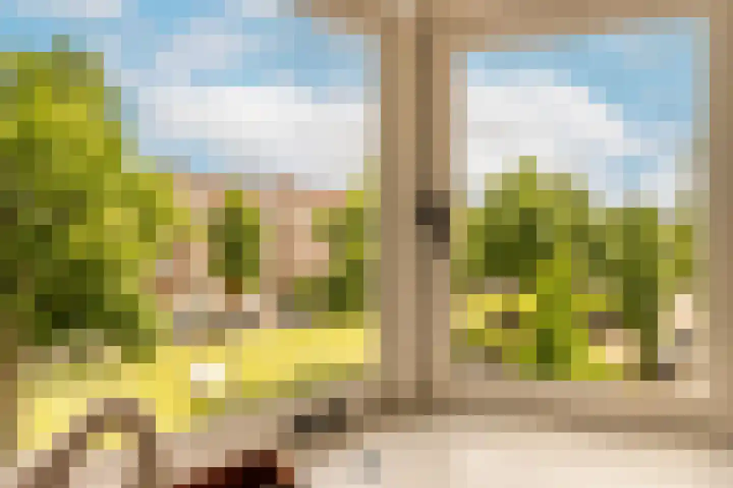 Minervalaan 12 H Amsterdam thumbnail 15
