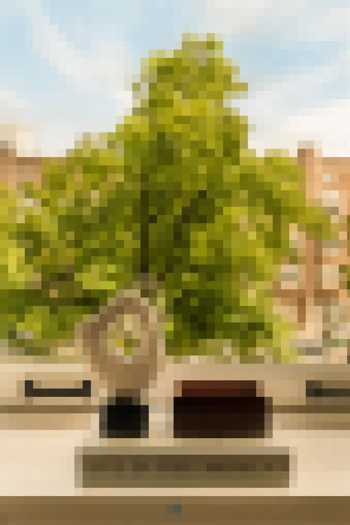 Minervalaan 12 H Amsterdam thumbnail 16