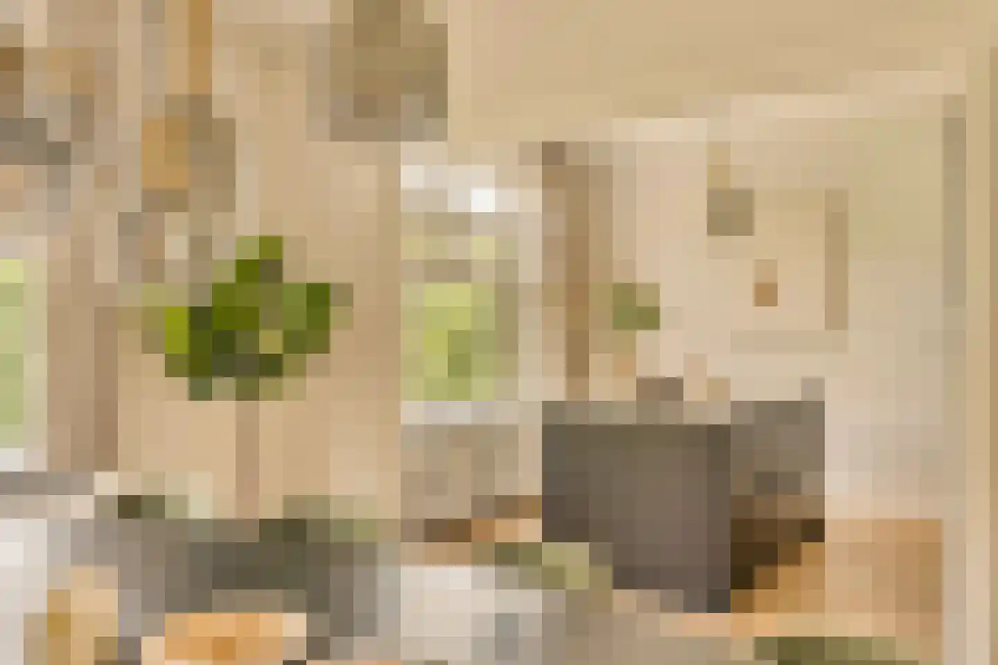 Minervalaan 12 H Amsterdam thumbnail 18