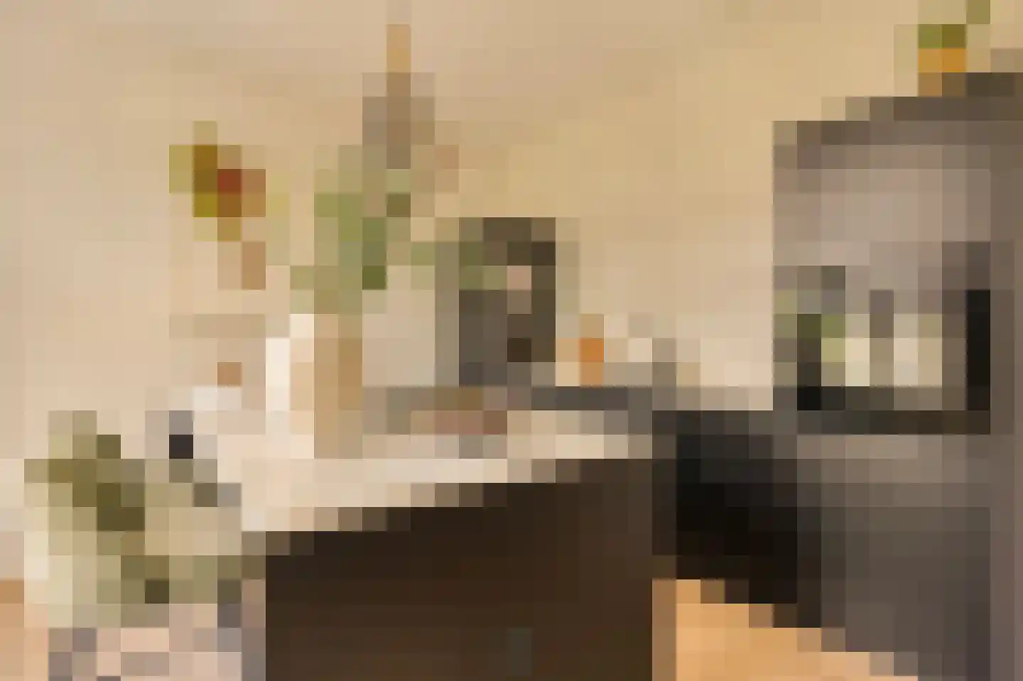 Minervalaan 12 H Amsterdam thumbnail 20