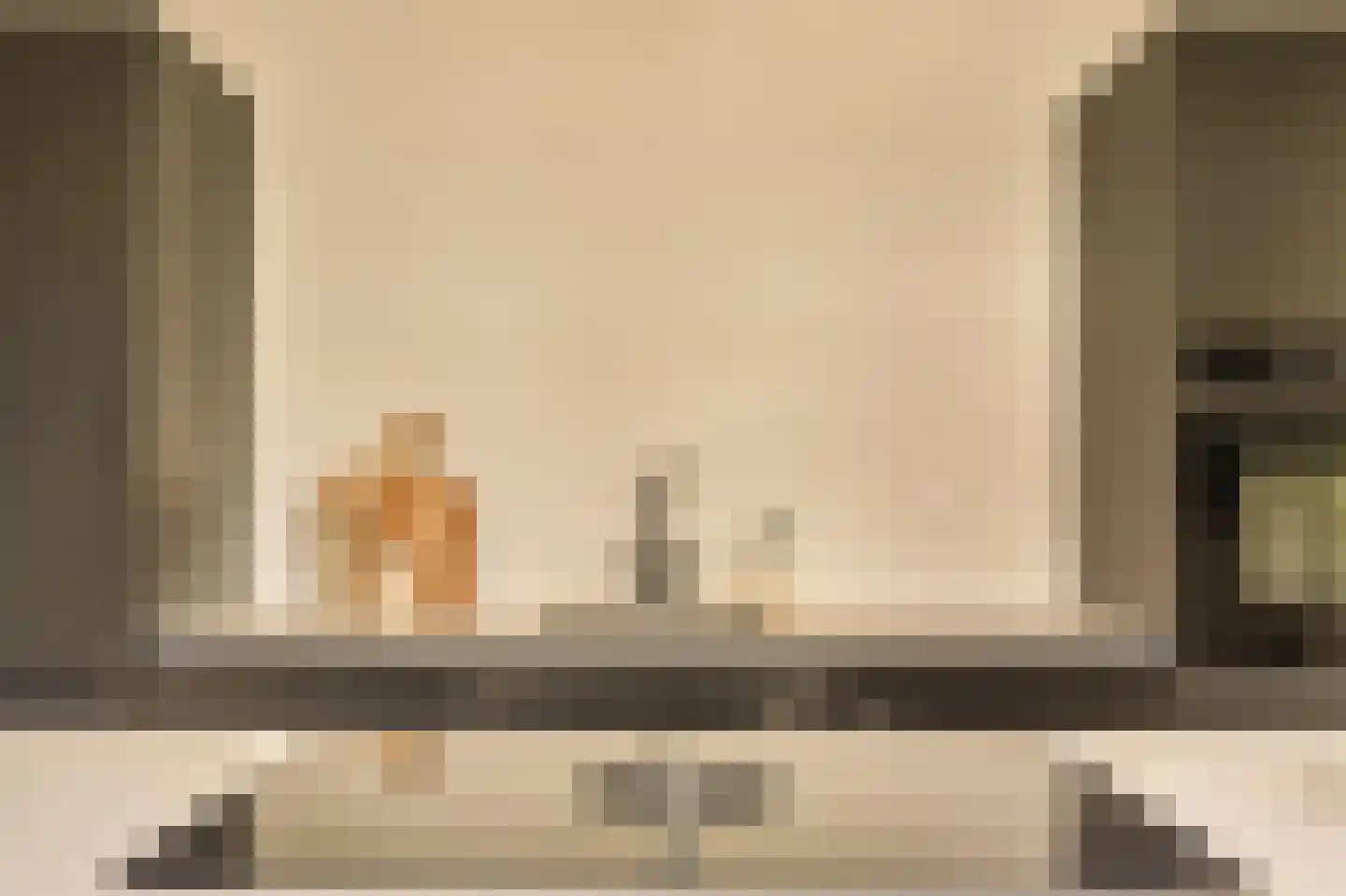 Minervalaan 12 H Amsterdam thumbnail 21