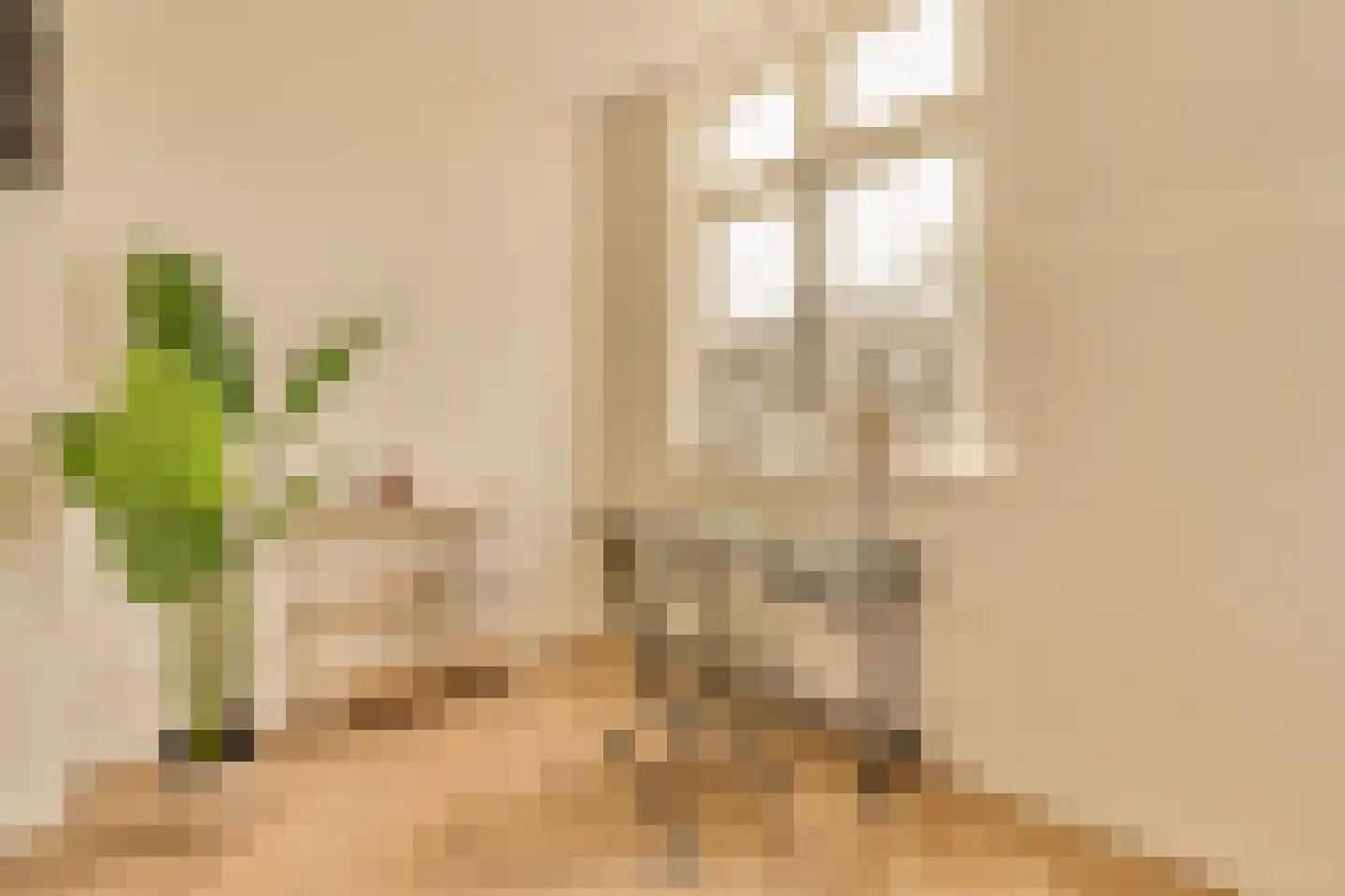Minervalaan 12 H Amsterdam thumbnail 22