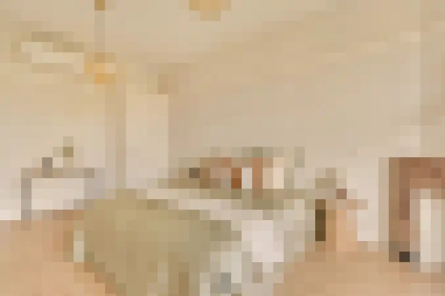 Minervalaan 12 H Amsterdam thumbnail 31