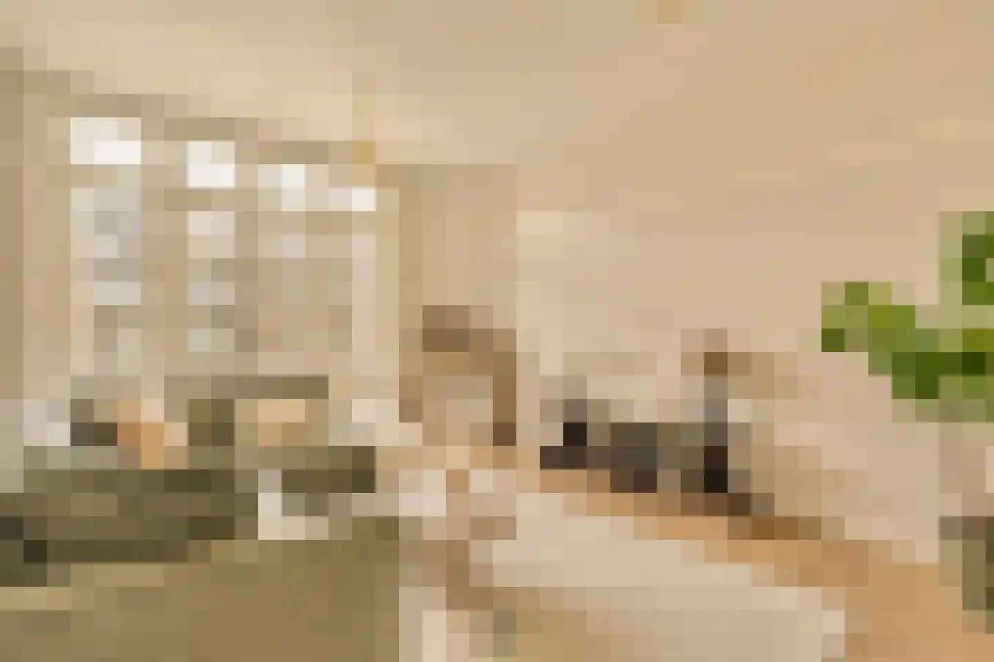 Minervalaan 12 H Amsterdam thumbnail 4