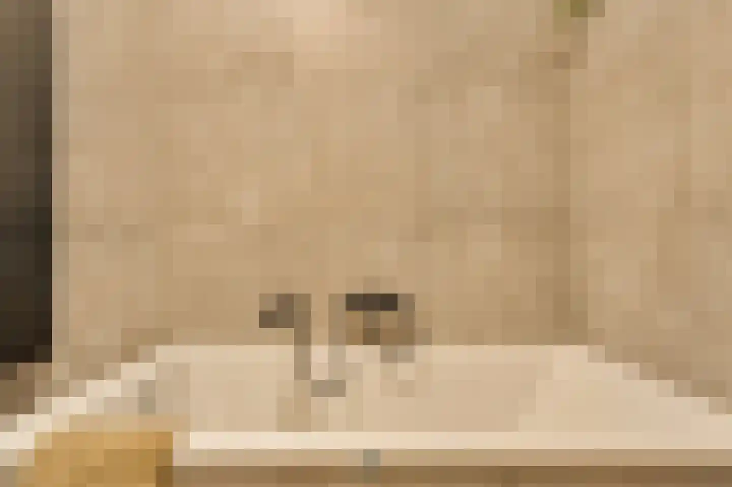 Minervalaan 12 H Amsterdam thumbnail 41