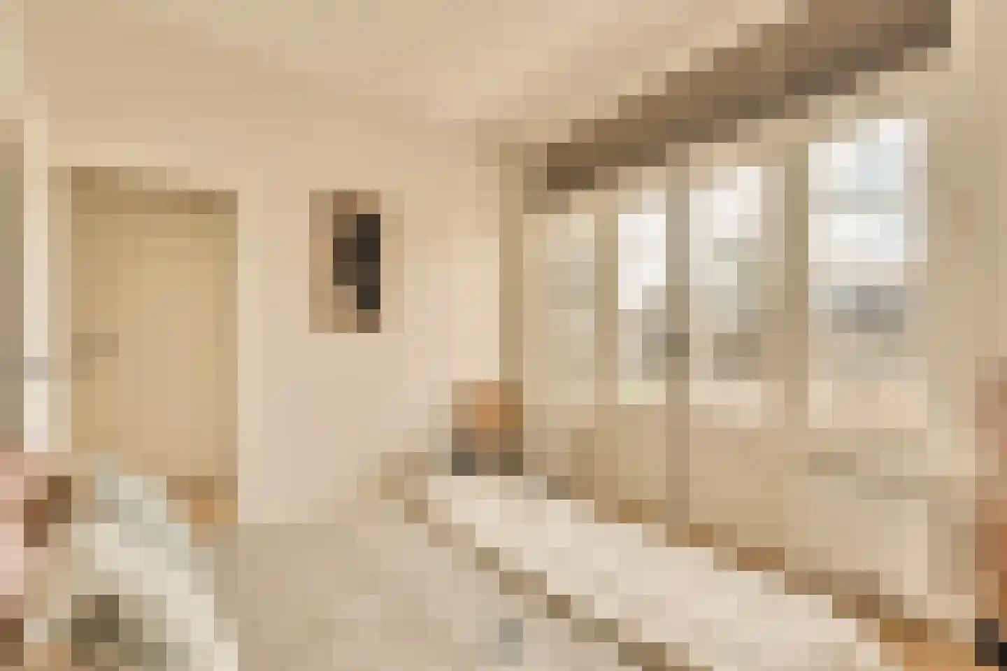 Minervalaan 12 H Amsterdam thumbnail 43